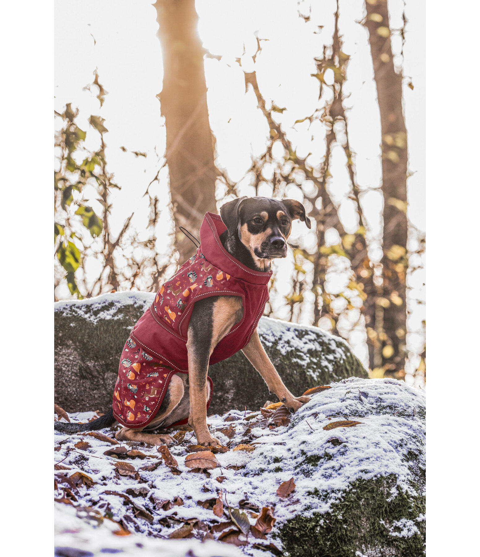 Impermable  Pumpkin Spice, 0 g