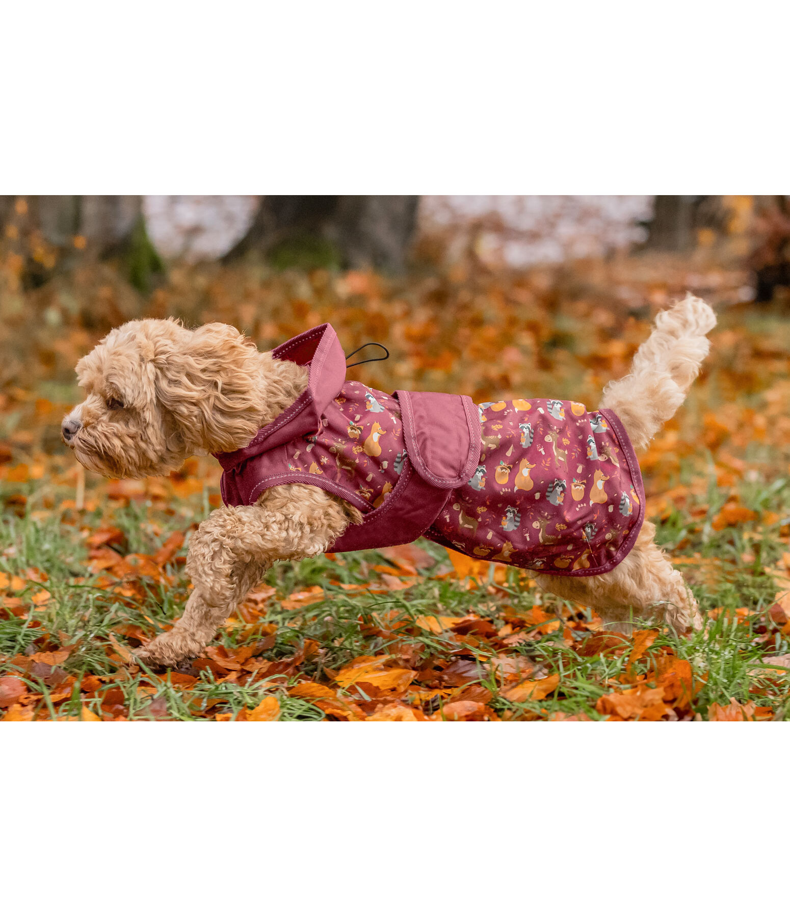 Impermable  Pumpkin Spice, 0 g