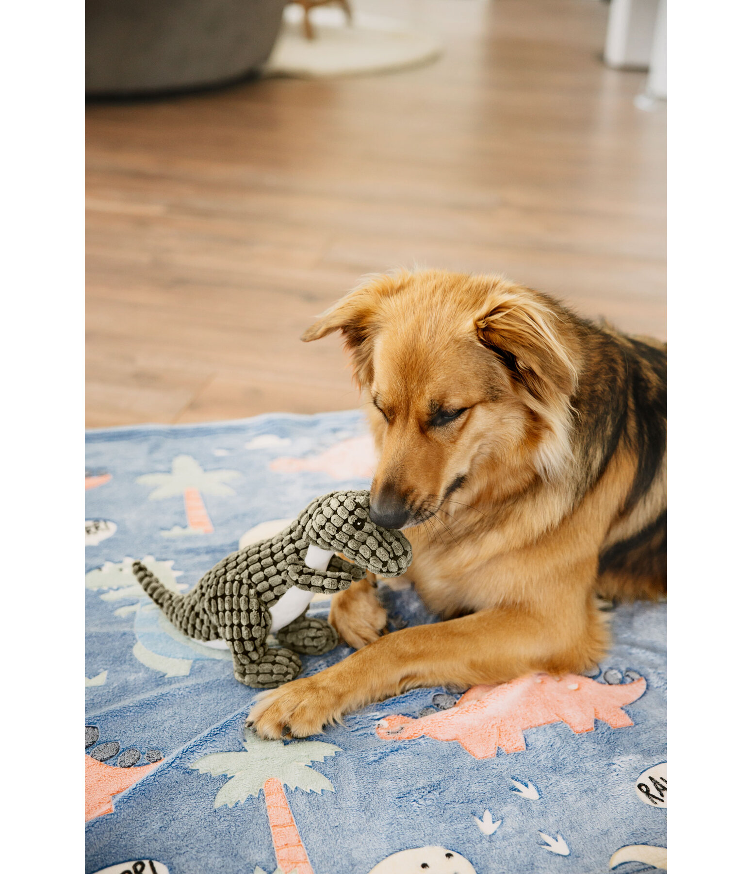 Dinosaure en peluche  Rexy
