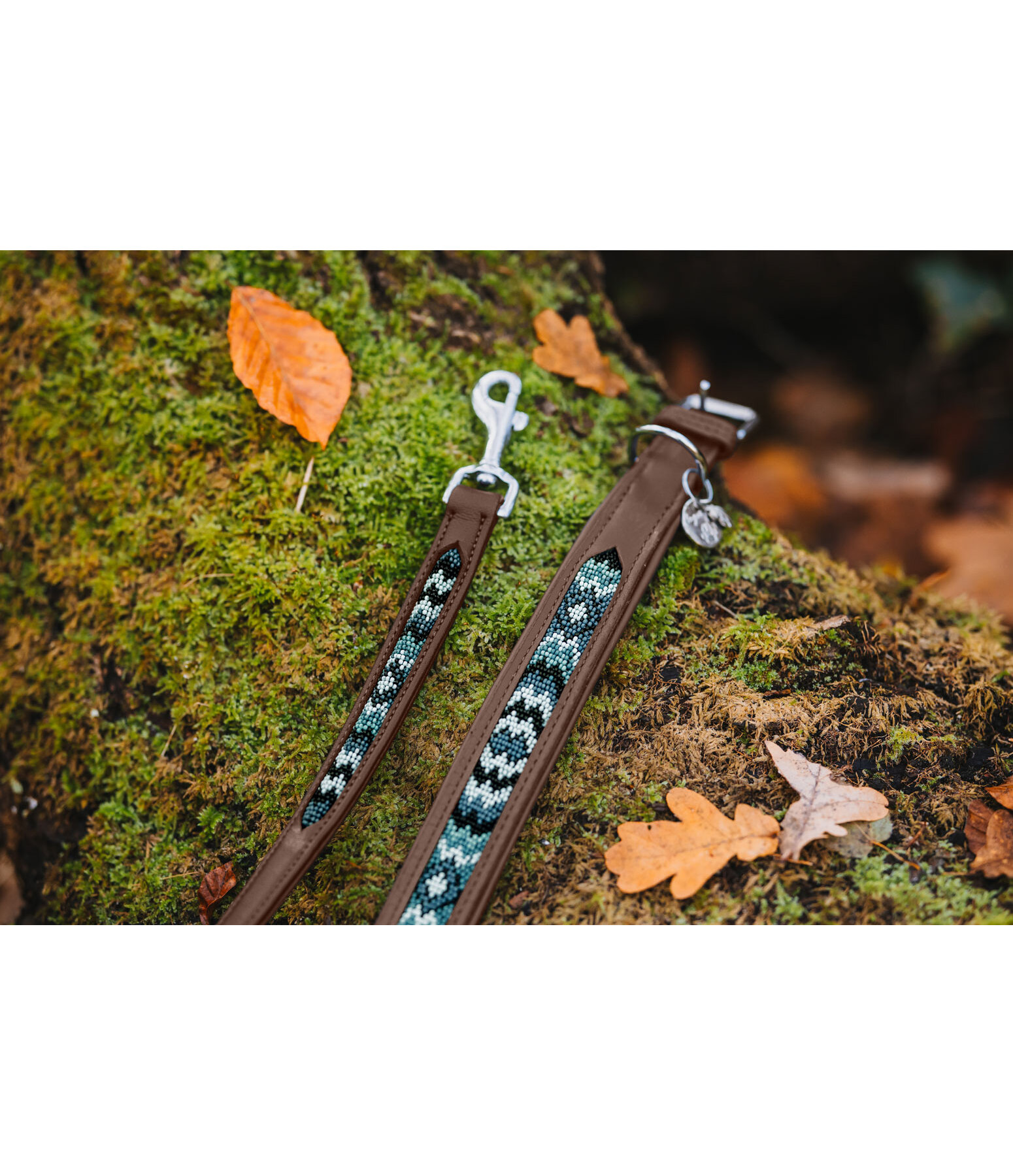Collier pour chien en cuir  Nashville