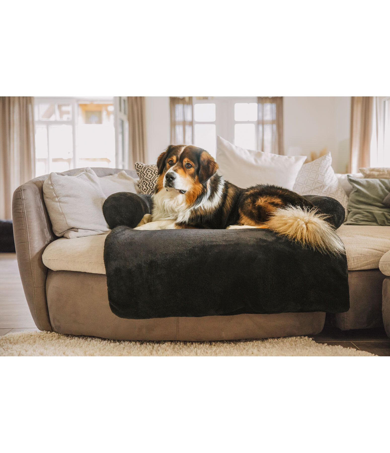 Couvre-canap  Guard