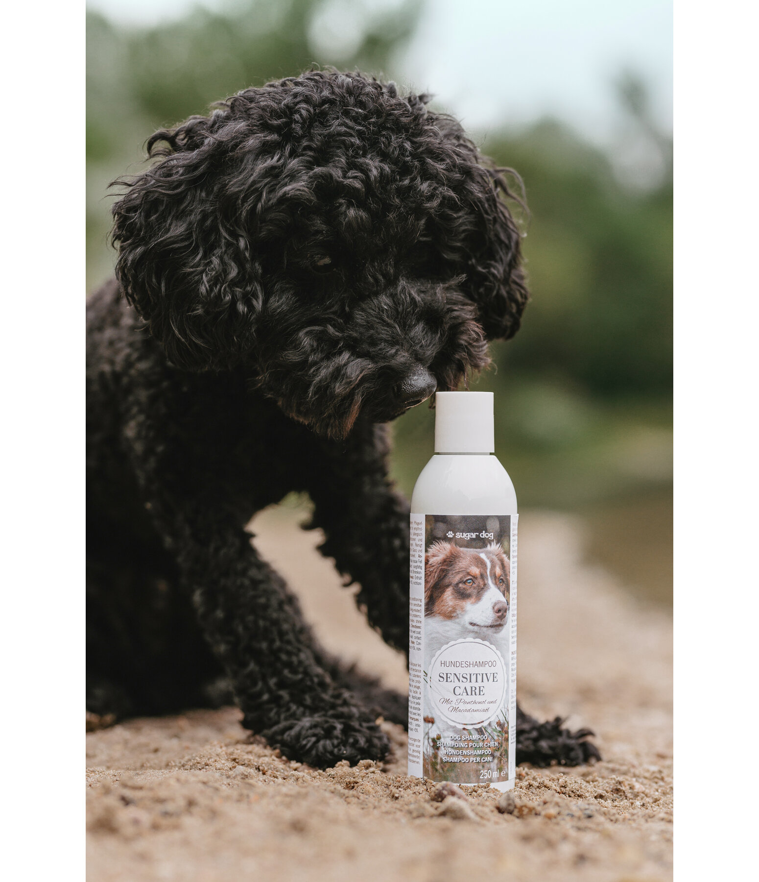 Shampooing pour chien  Sensitive Care