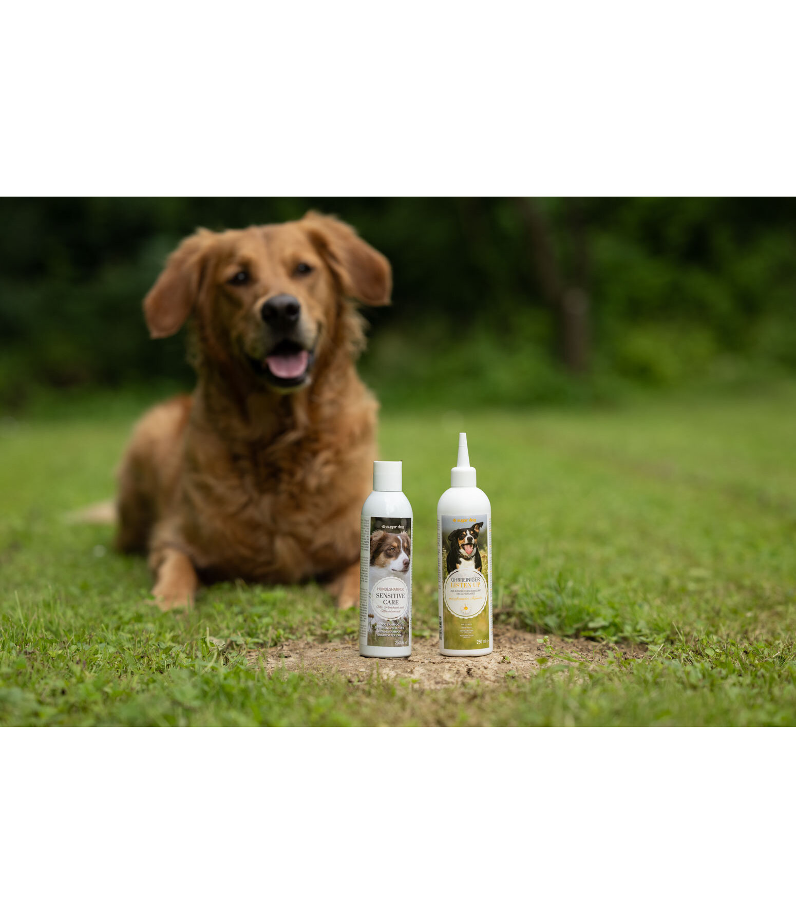 Shampooing pour chien  Sensitive Care