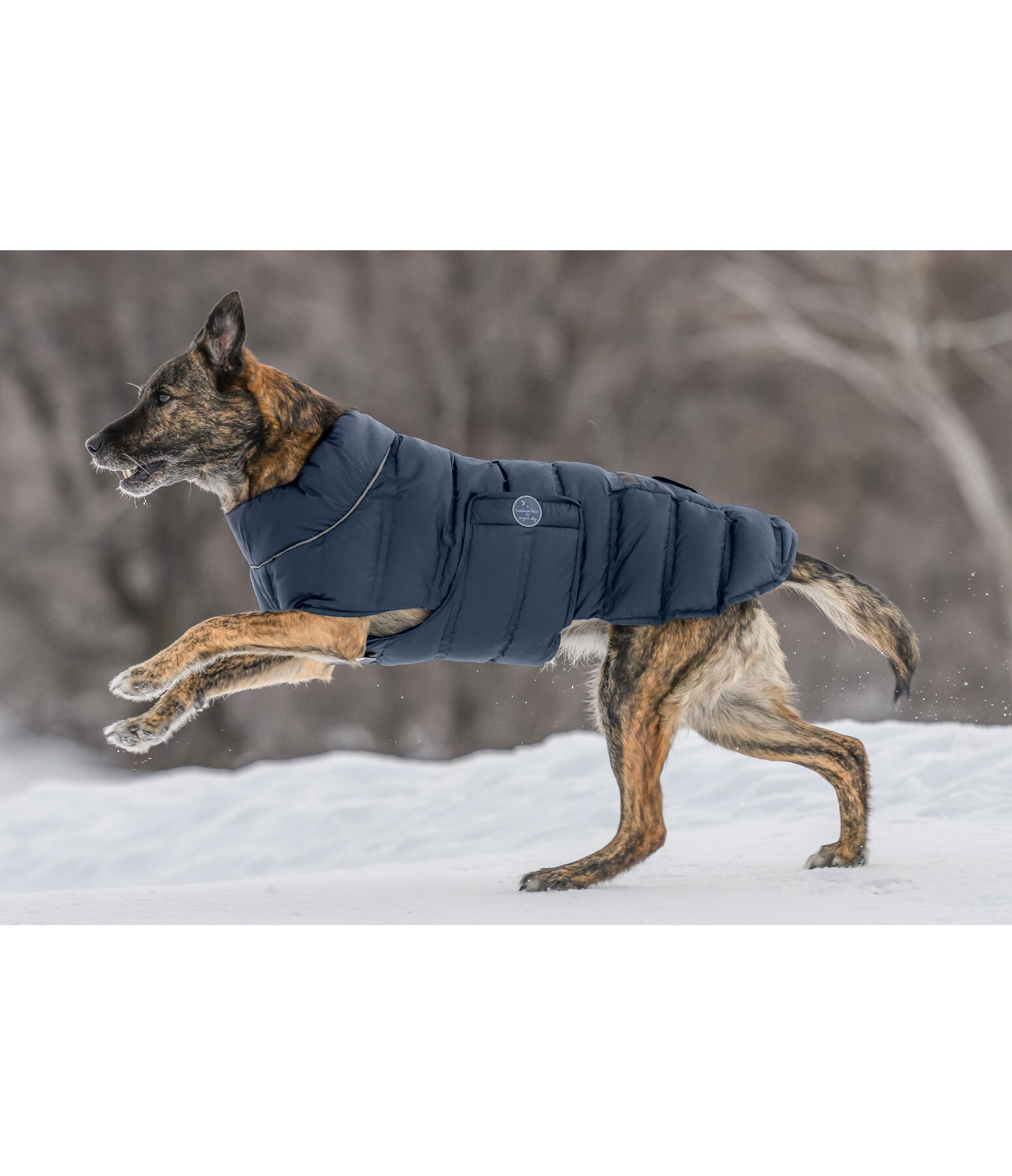 Manteau pour chien matelass� avec lampe LED Arlo, 300 g