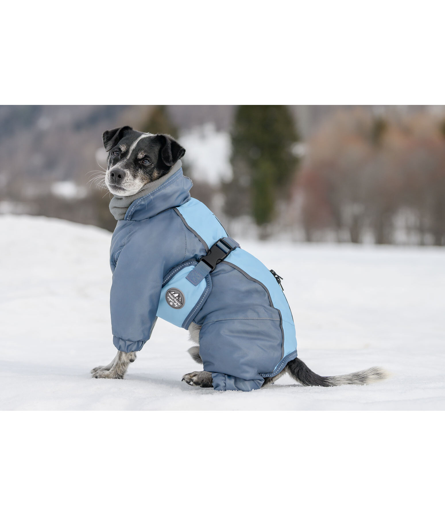 Combinaison de neige pour chien  Mount Whistler 120 g