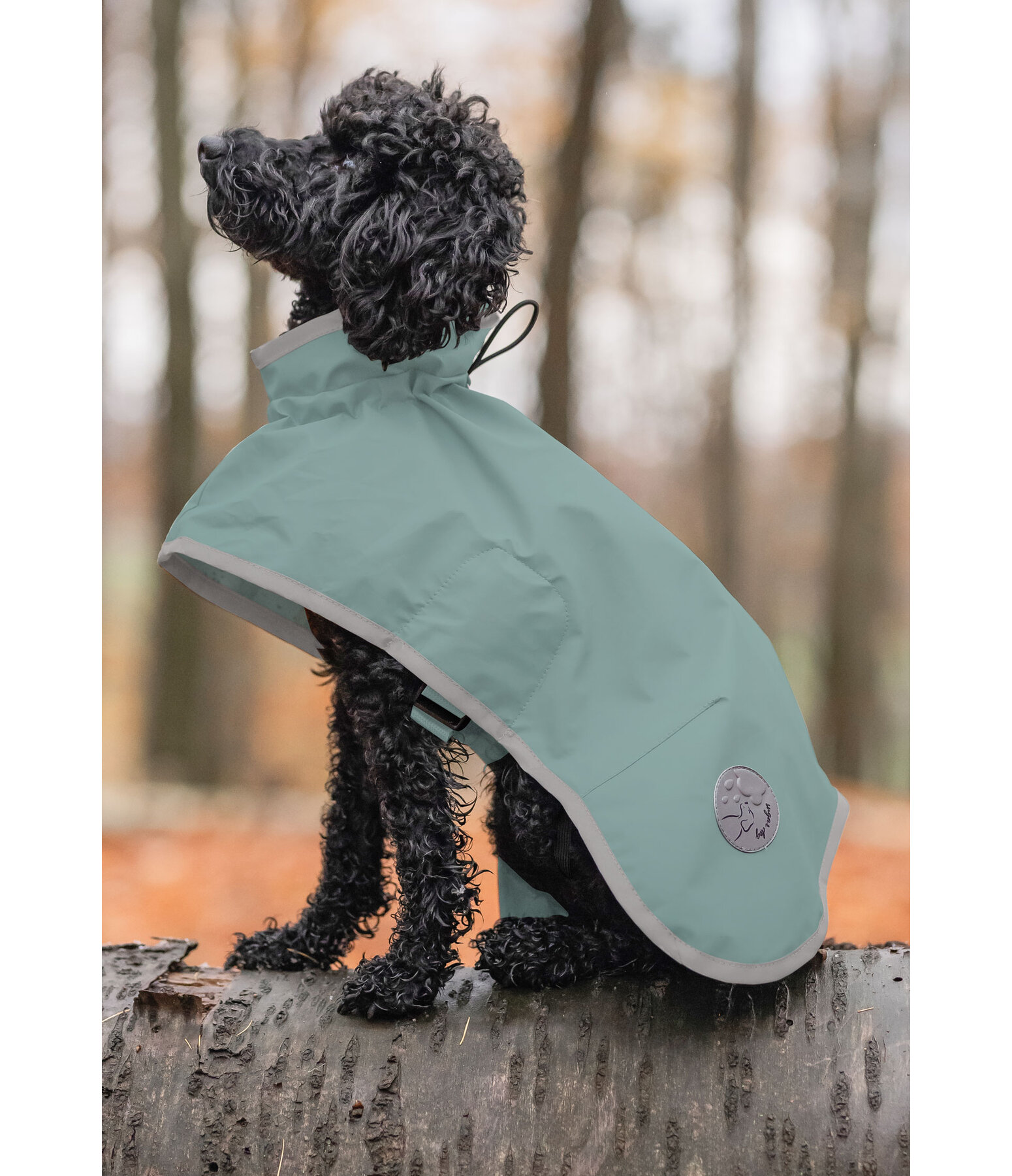 Manteau de pluie pour chien  Thousand Islands, 0 g