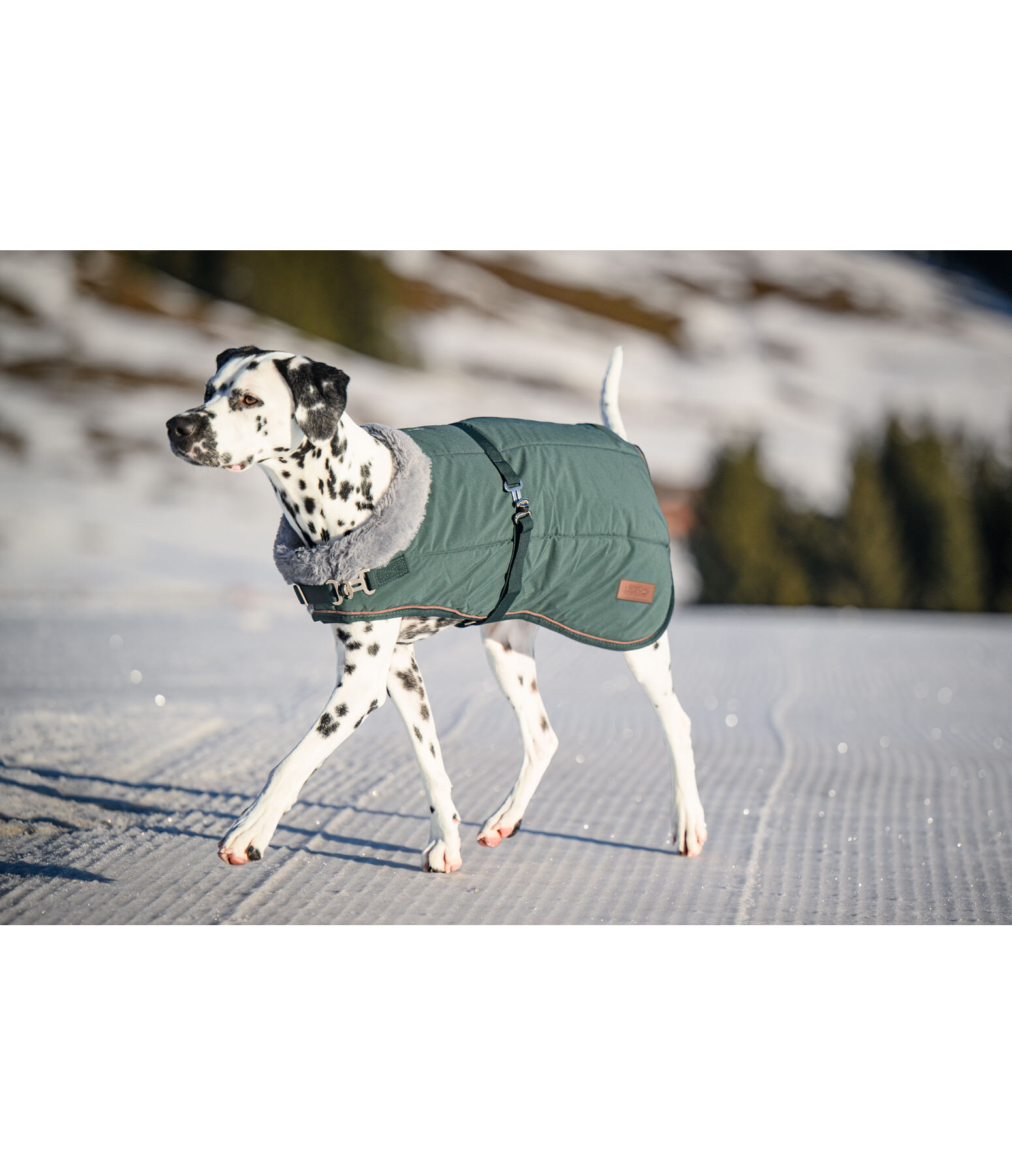 Manteau d'hiver pour chien avec doublure en fourrure Teddy  Gizmo, 200 g
