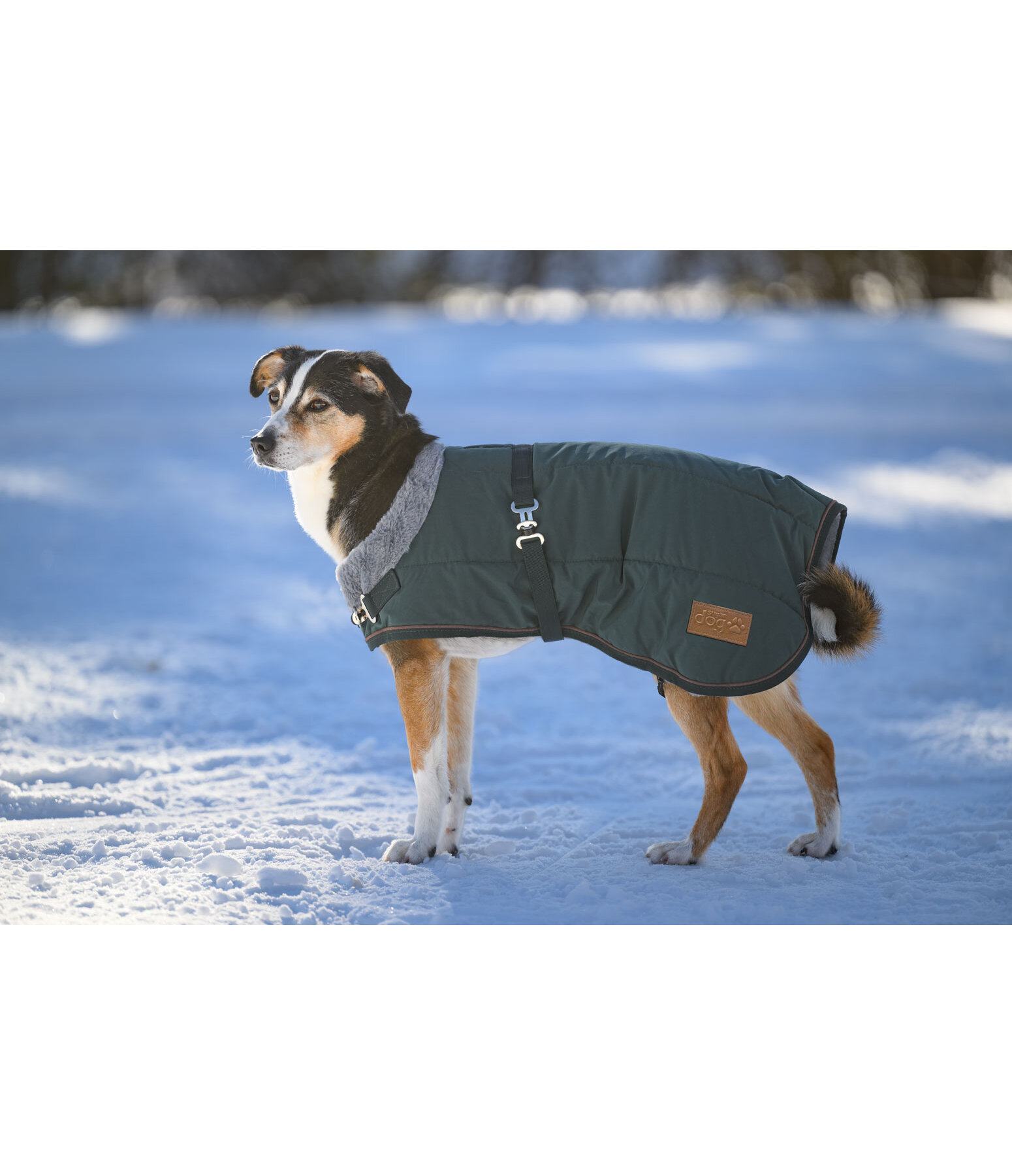 Manteau d'hiver pour chien avec doublure en fourrure Teddy  Gizmo, 200 g
