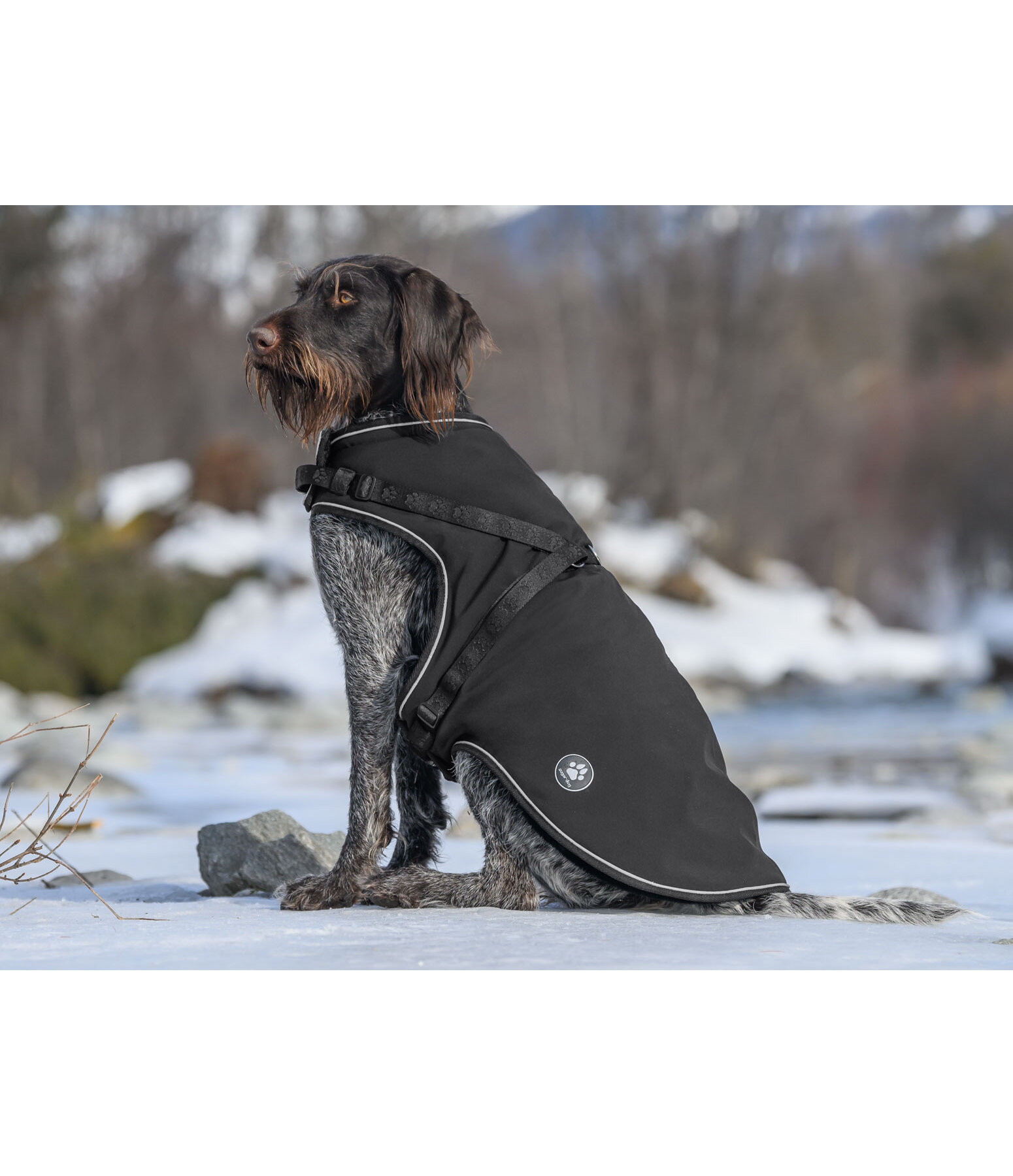 Manteau Softshell pour chien avec harnais intgr  Cruz, 160 g