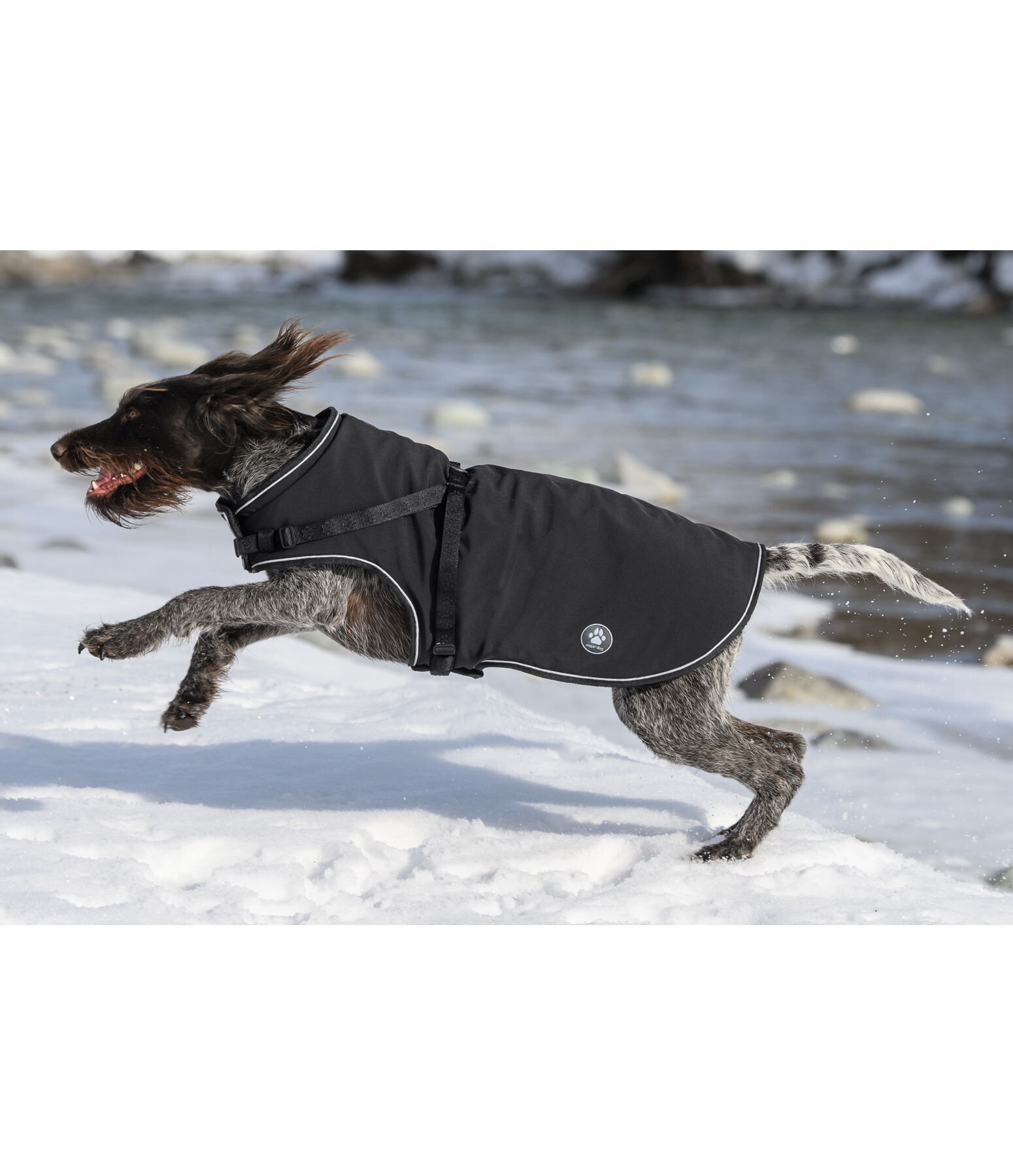 Manteau softshell pour chien avec harnais int�gr�  Cruz, 160 g