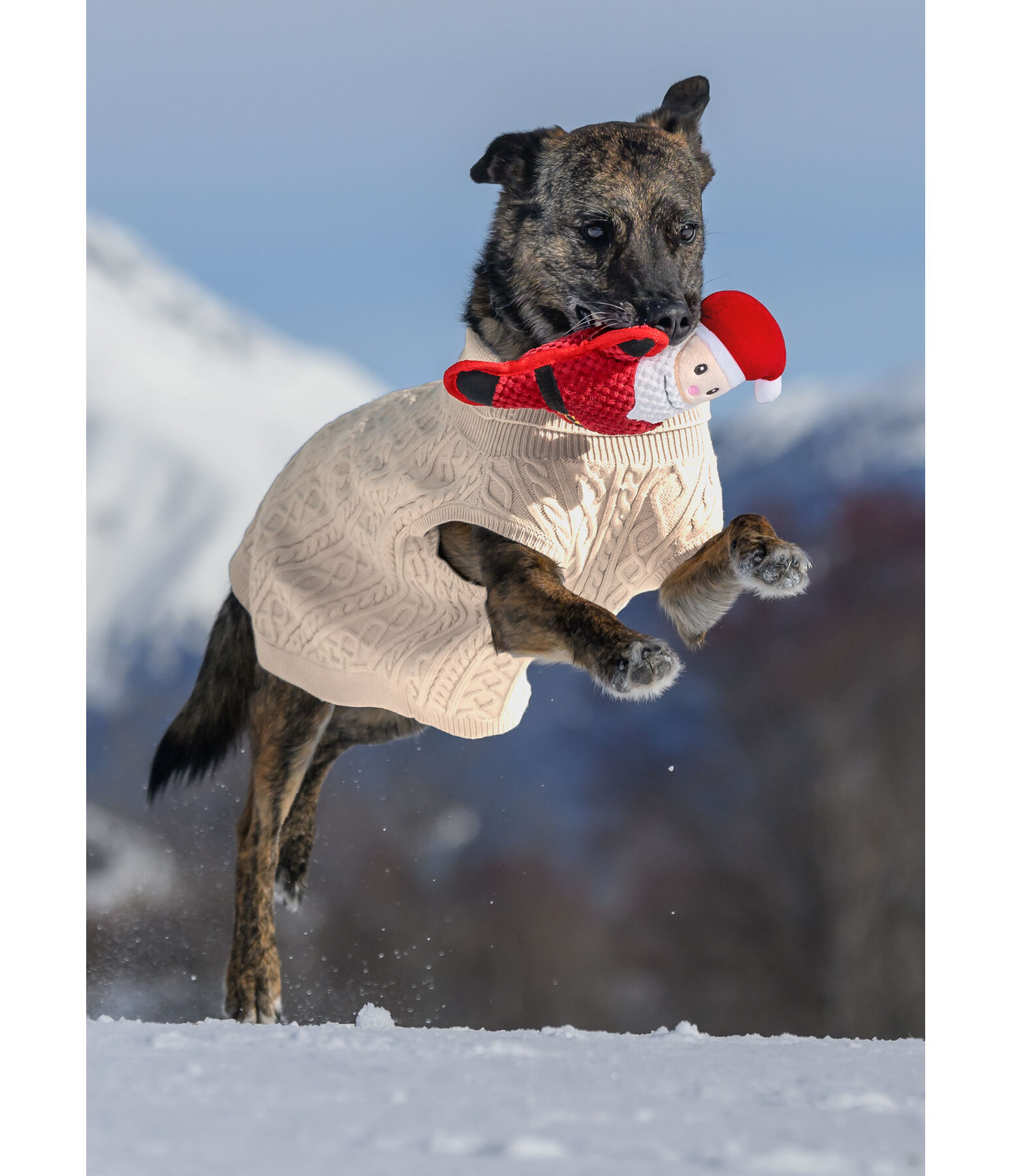 Jouet en peluche pour chienl  Santa