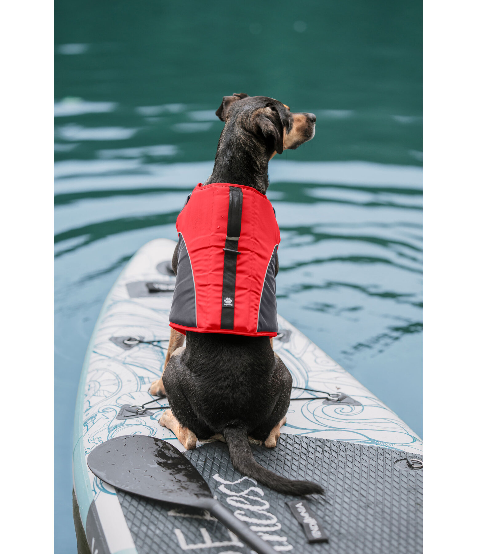Gilet de sauvetage pour chien  Life Guard