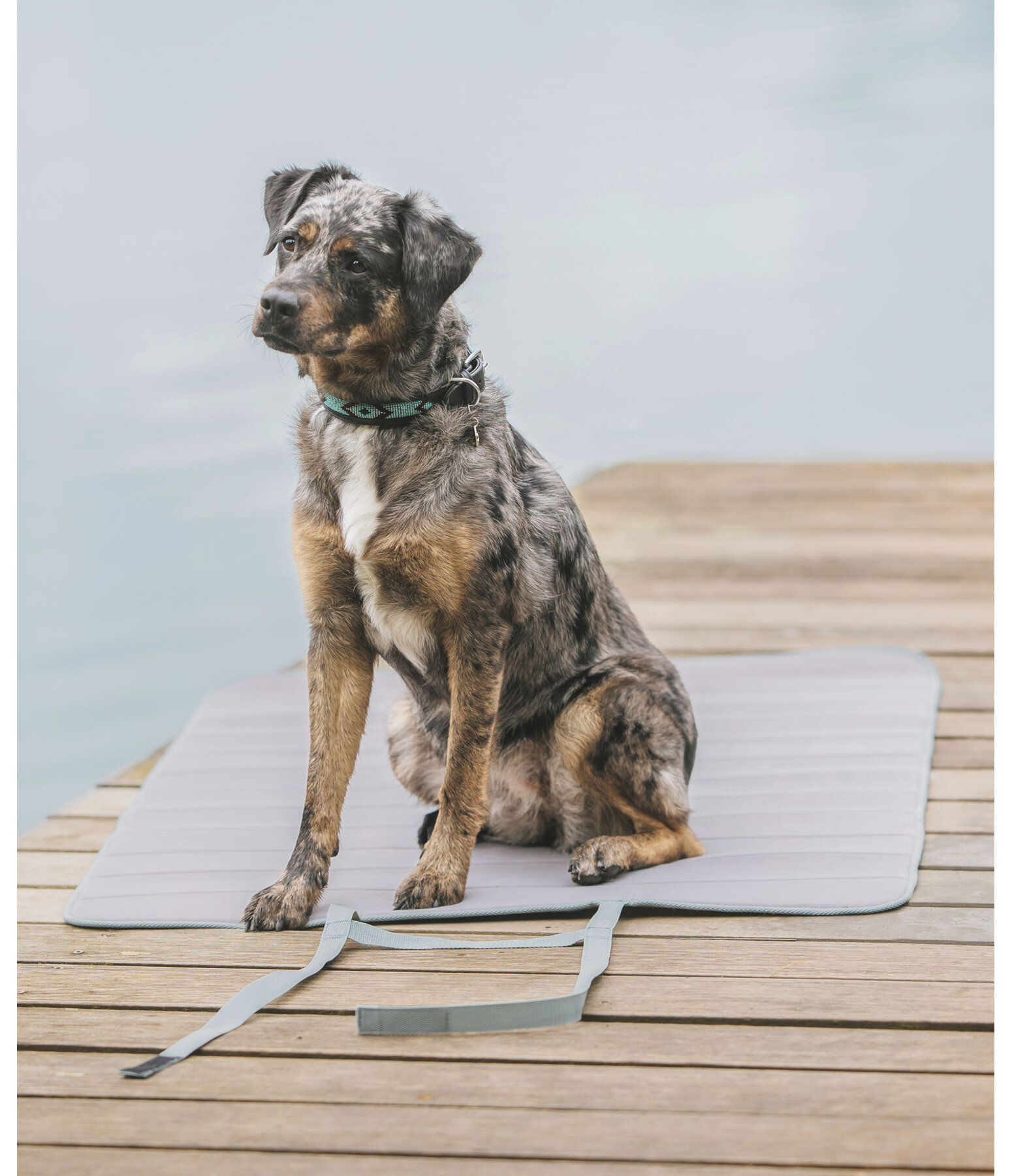 Tapis de voyage  Summer