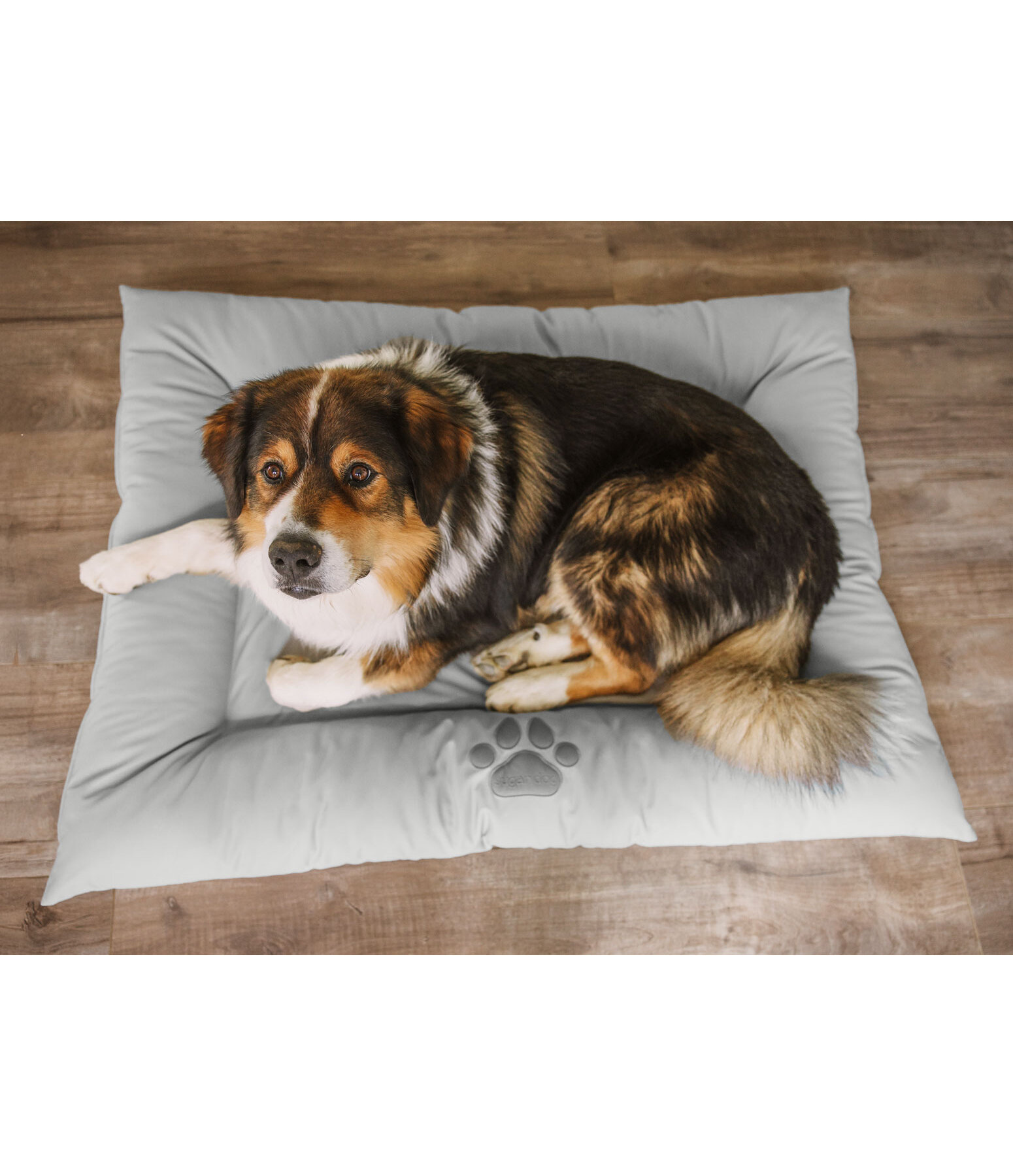 Coussin pour chien en synthtique  Gioia