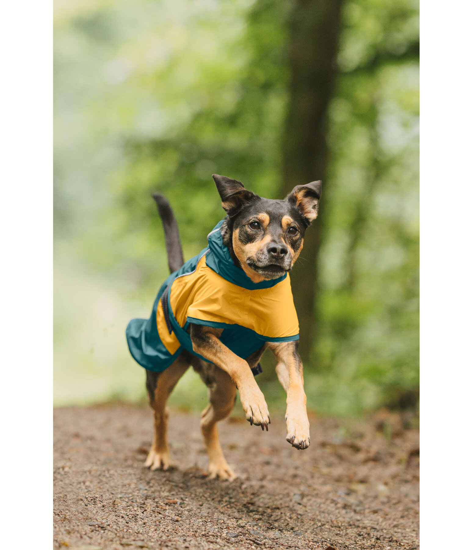 Manteau de pluie lger pour chien  Alma, 0 g