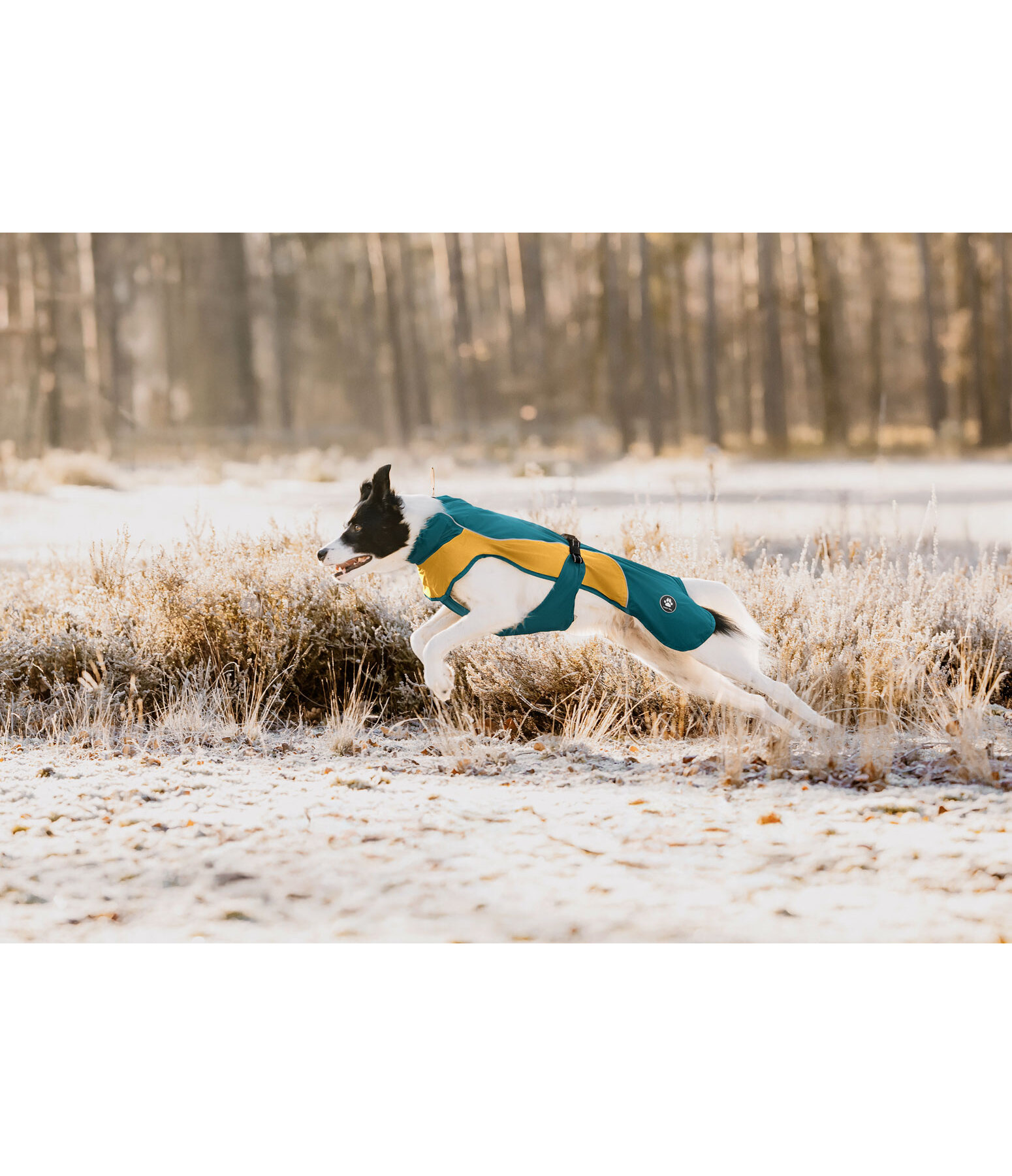 Manteau de pluie lger pour chien  Alma, 0 g