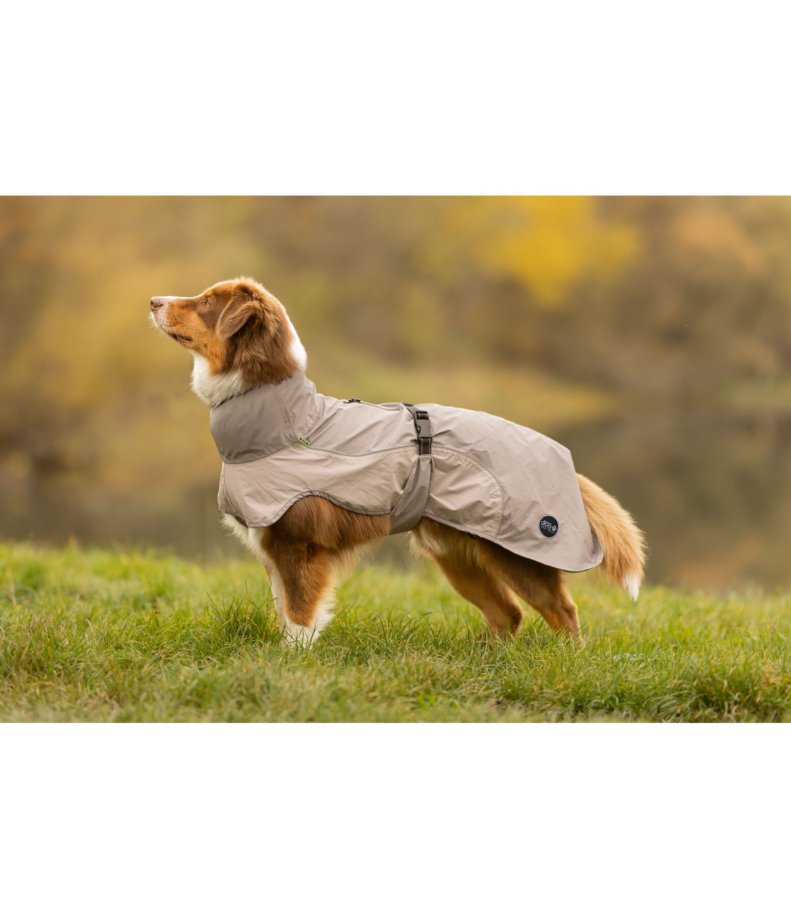 Manteau de pluie l�ger pour chien  Alma, 0 g