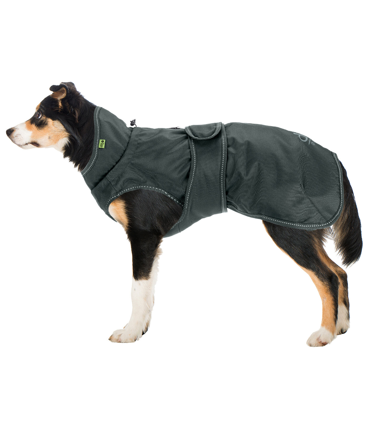 Manteau de pluie pour chien  Forest Drizzle, 50 g