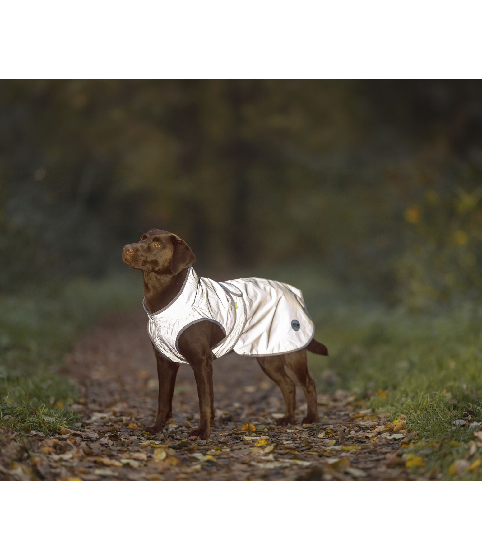 Manteau r�fl�chissant avec doublure polaire