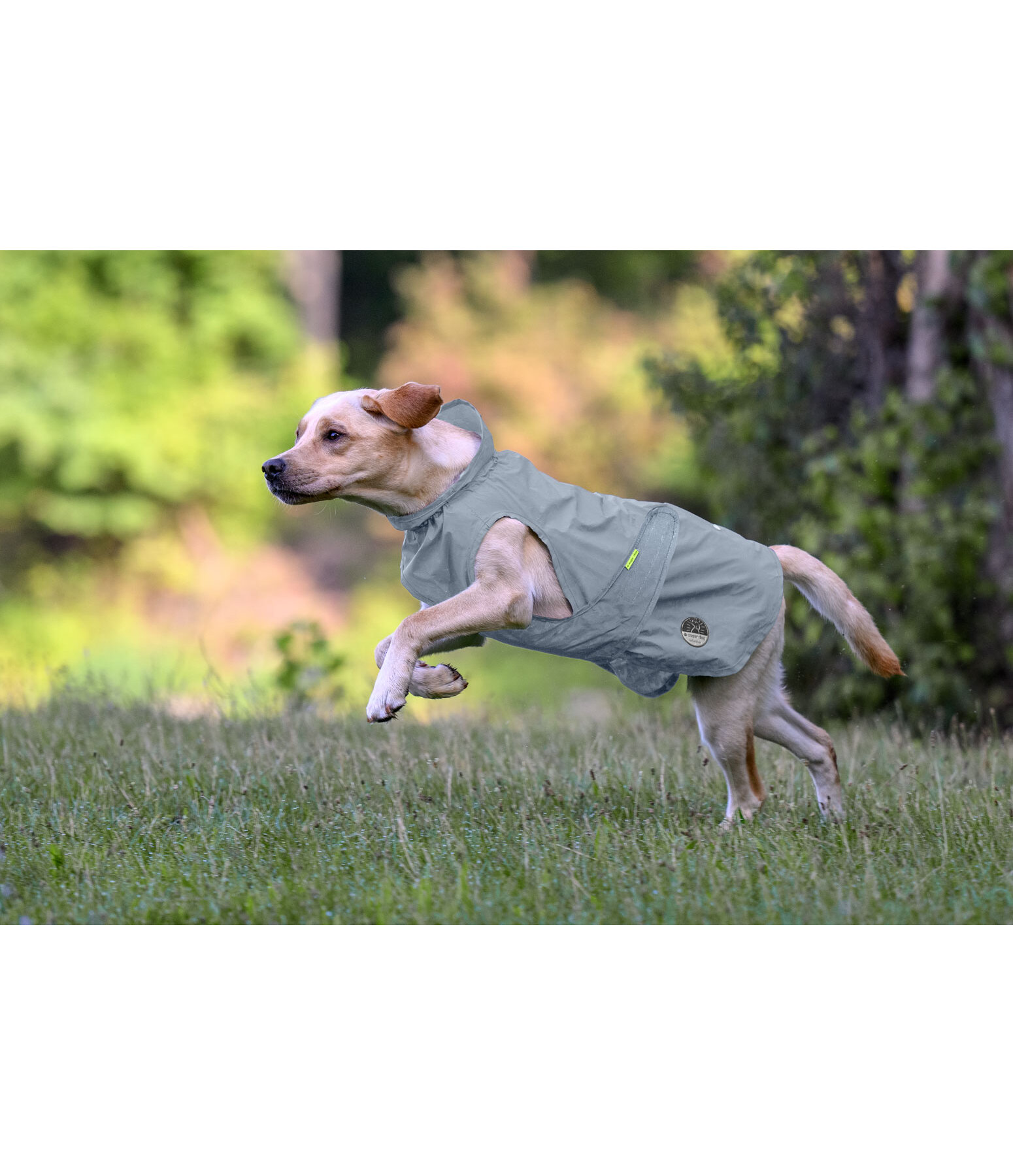 Imperm�able r�fl�chissant  To Go