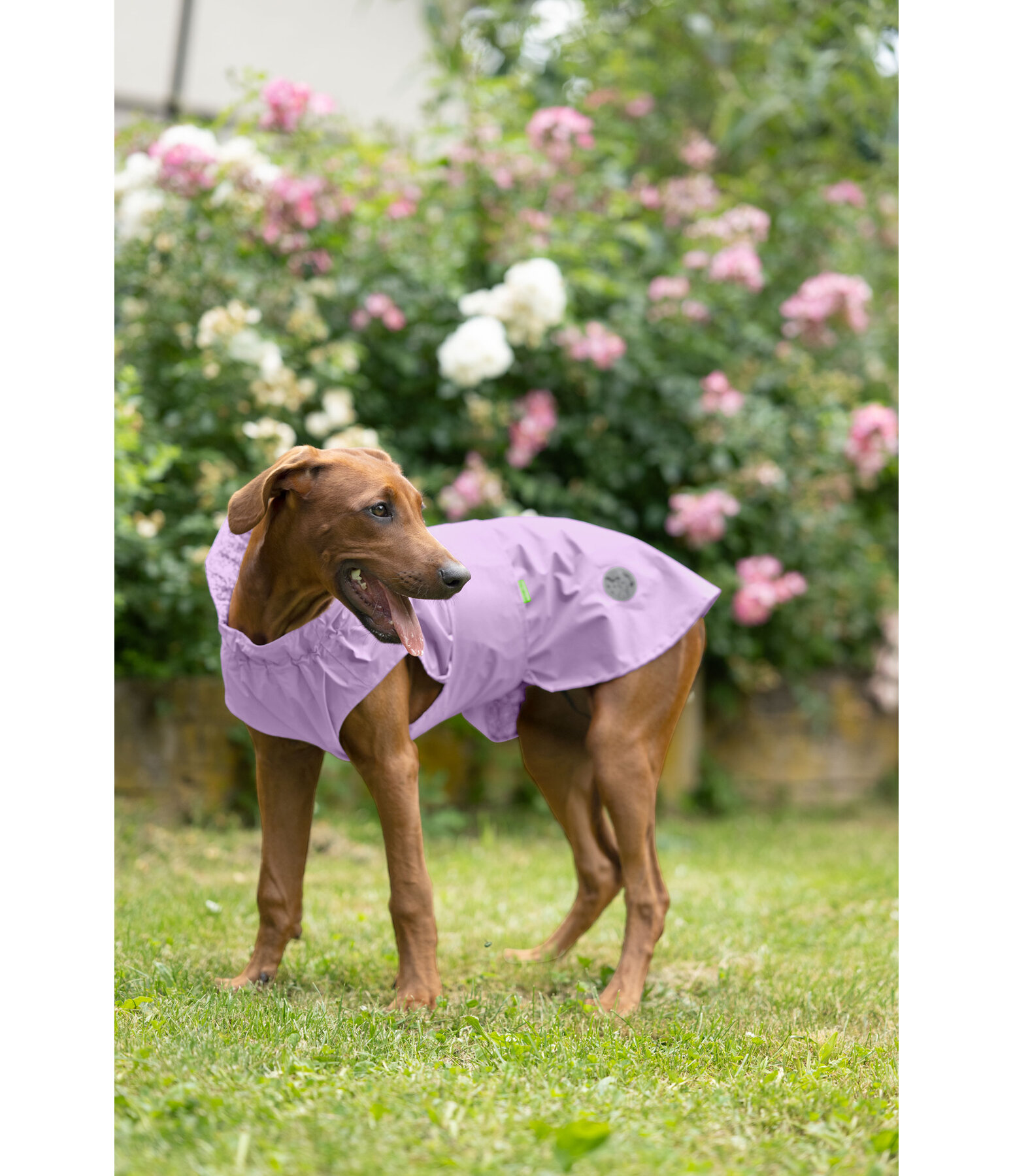 Manteau de pluie  Emmi