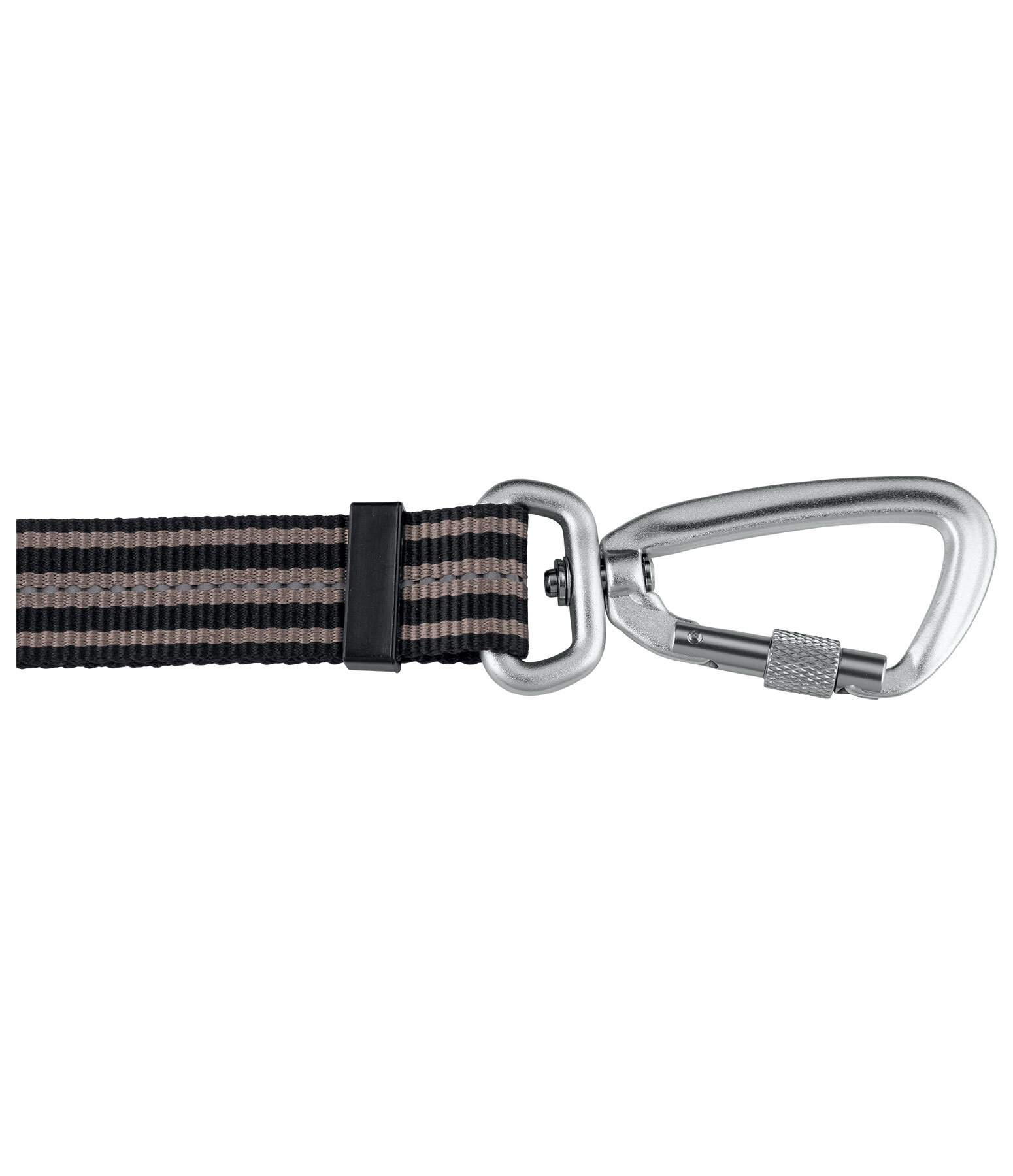Laisse pour chien  Comfort Fit