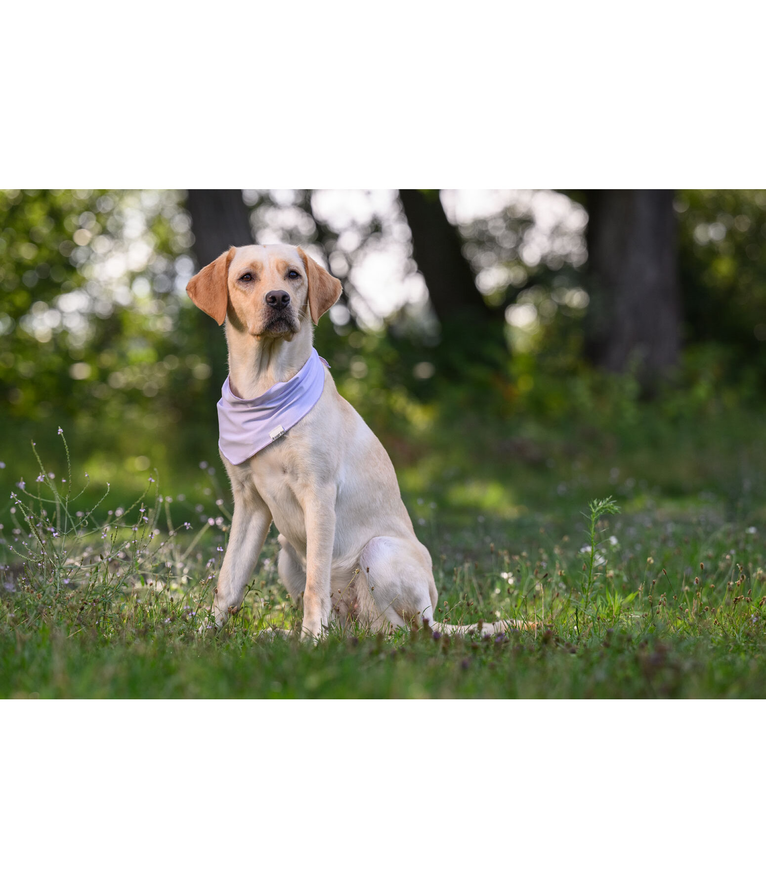 Bandana rafra�chissant  Frostie