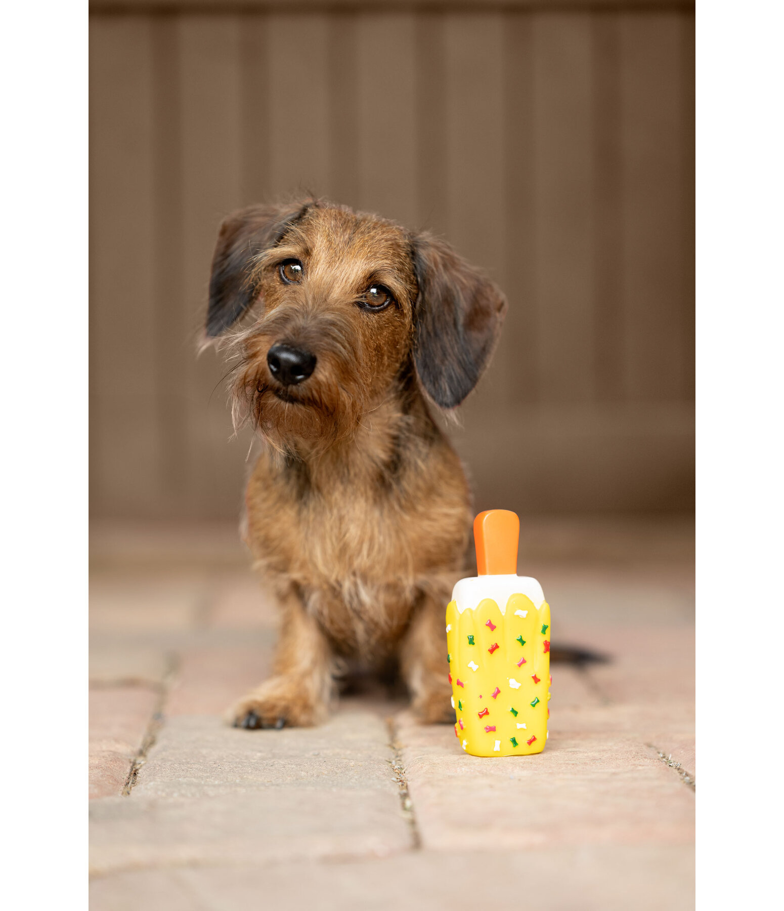 Jouet avec couineur  glace