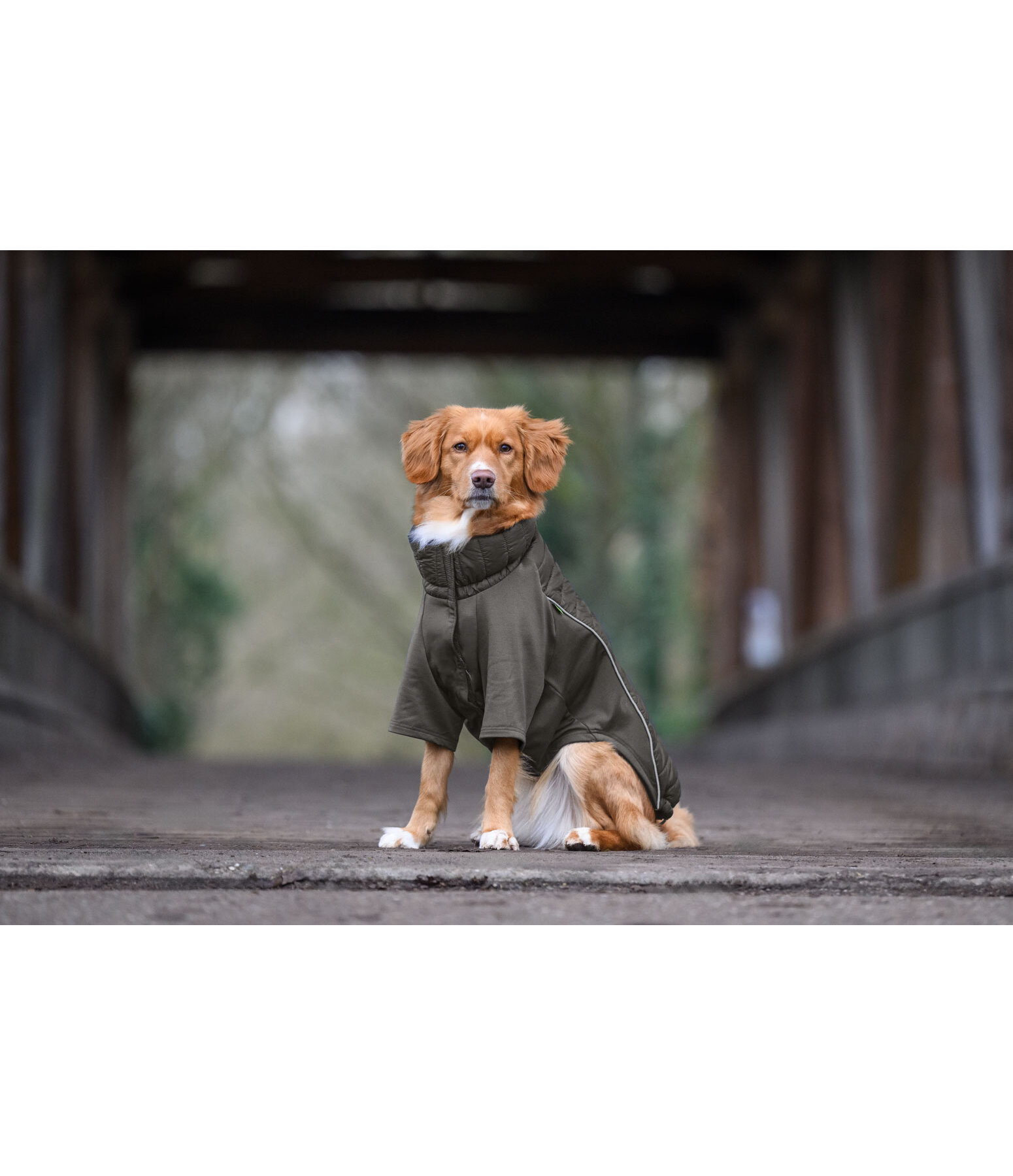 Manteau combinaison  stretch Performance Baldo, 160g