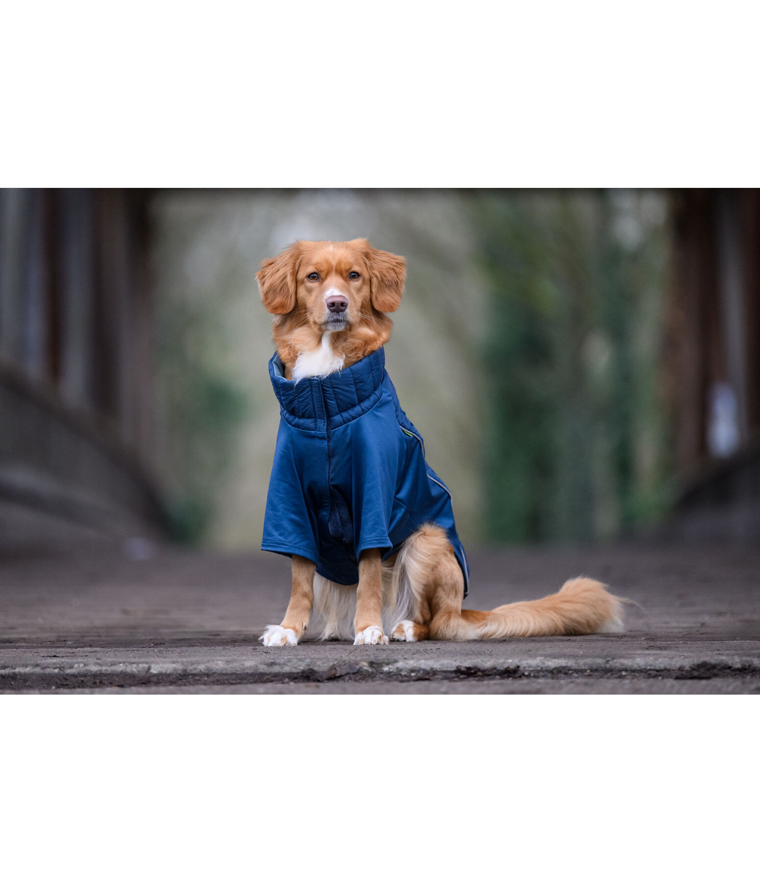 Manteau combinaison  stretch Performance Baldo, 160g