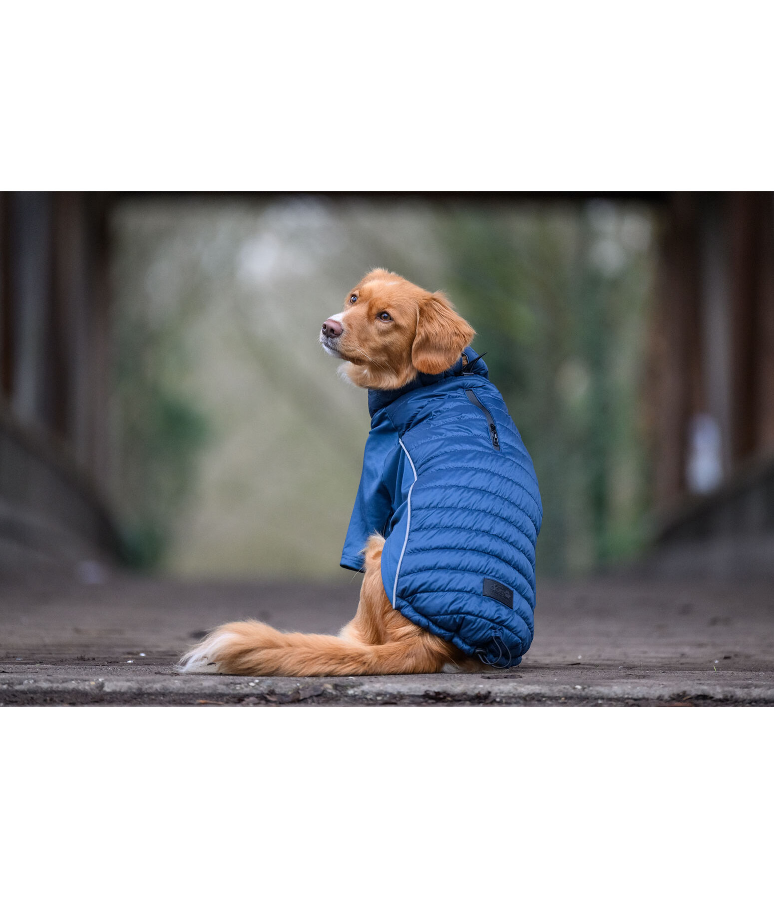 Manteau combinaison  stretch Performance Baldo, 160g