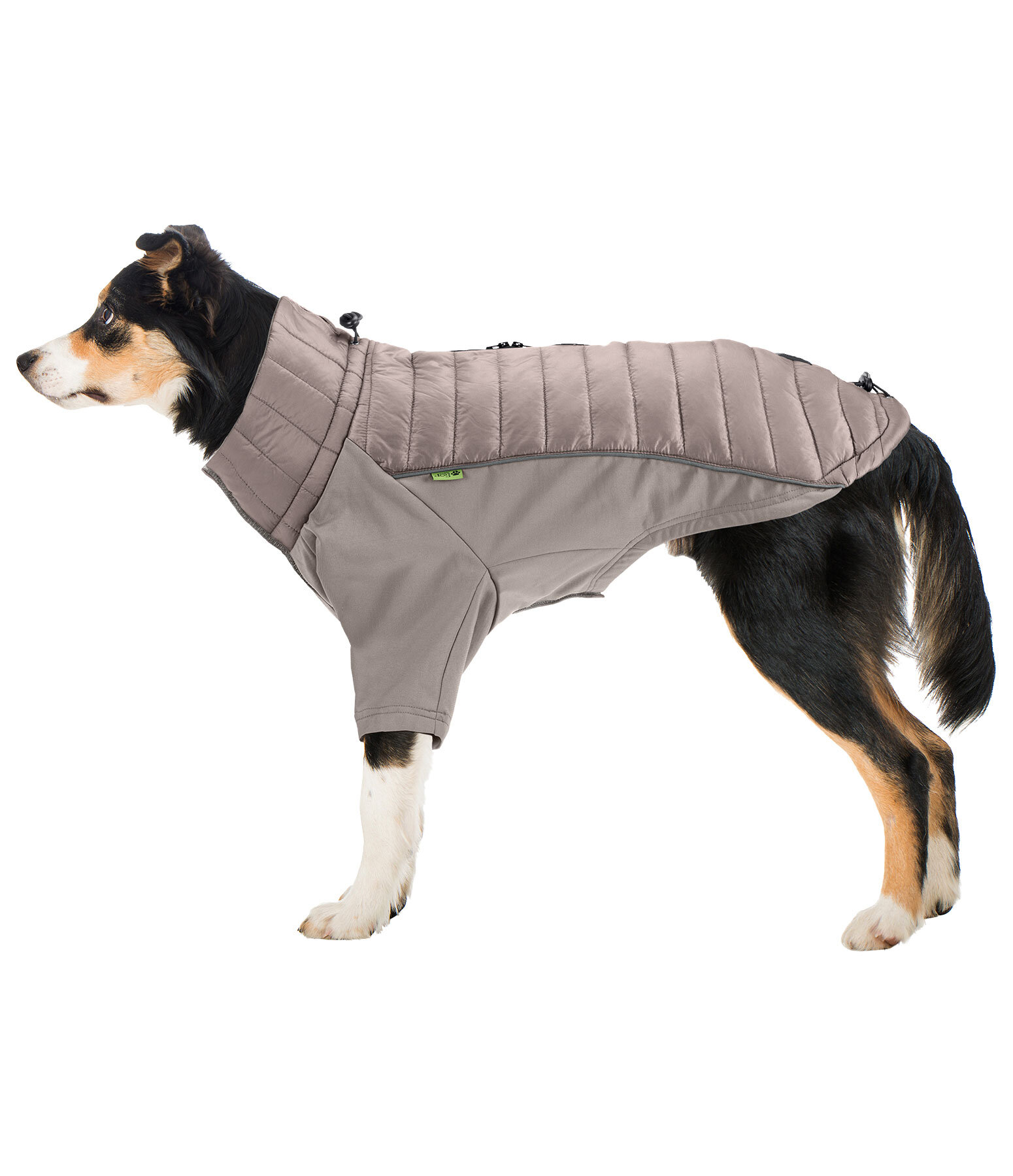 Manteau combinaison  stretch Performance Baldo, 160g