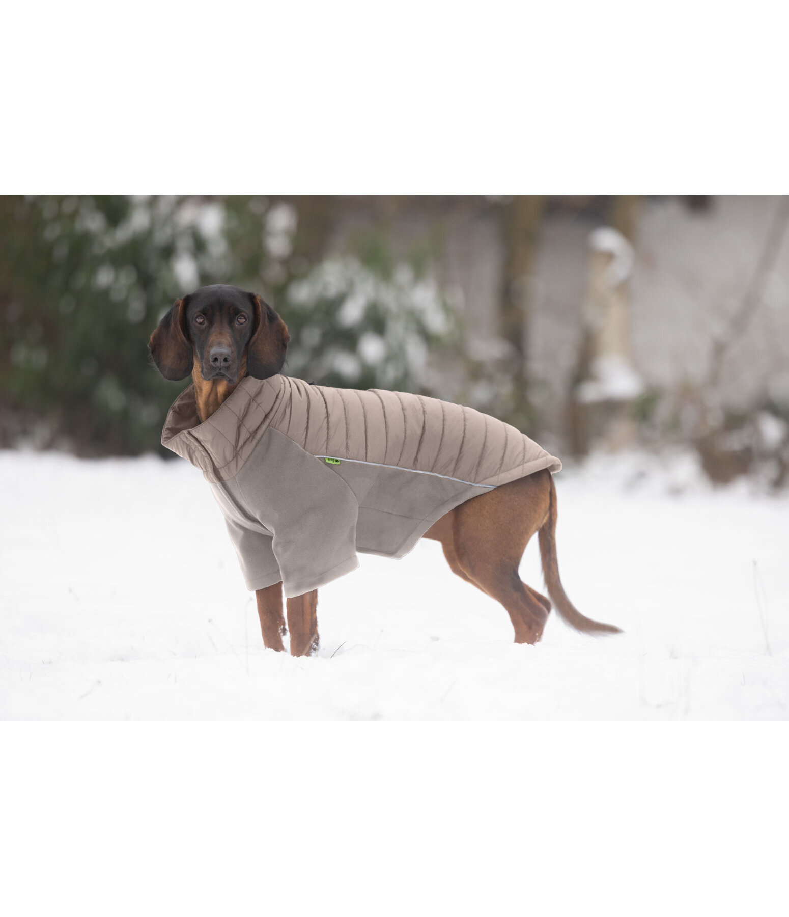 Manteau combinaison  stretch Performance Baldo, 160g