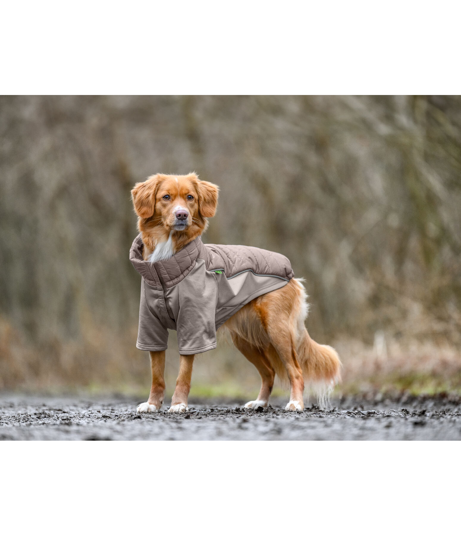 Manteau combinaison  stretch Performance Baldo, 160g