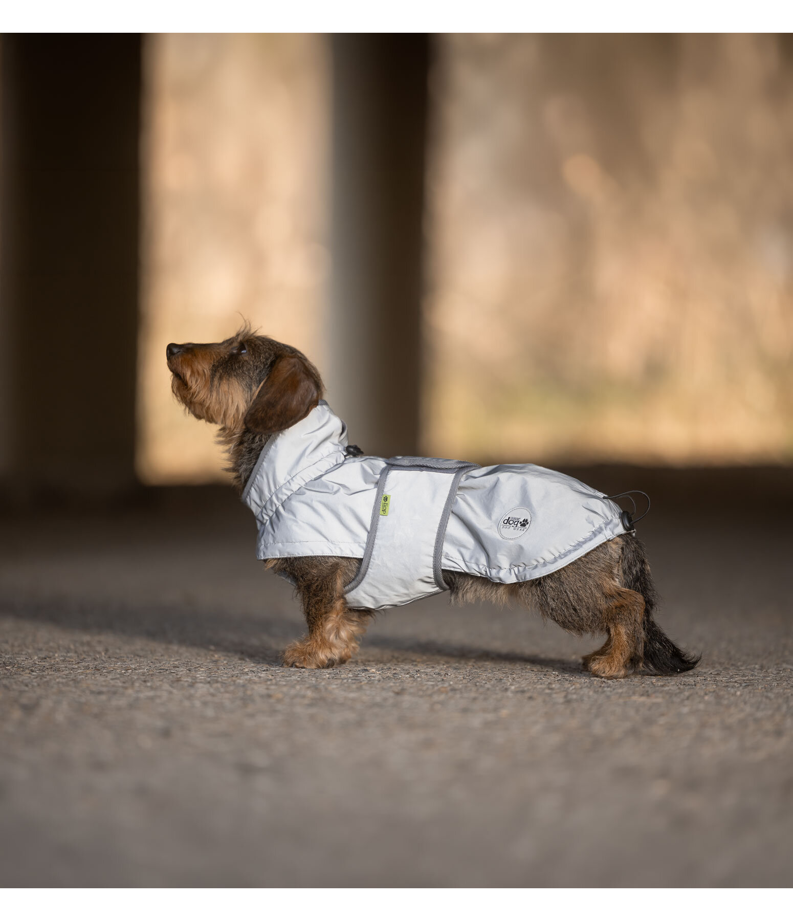 Manteau r�fl�chissant avec doublure en polaire pour teckel  George