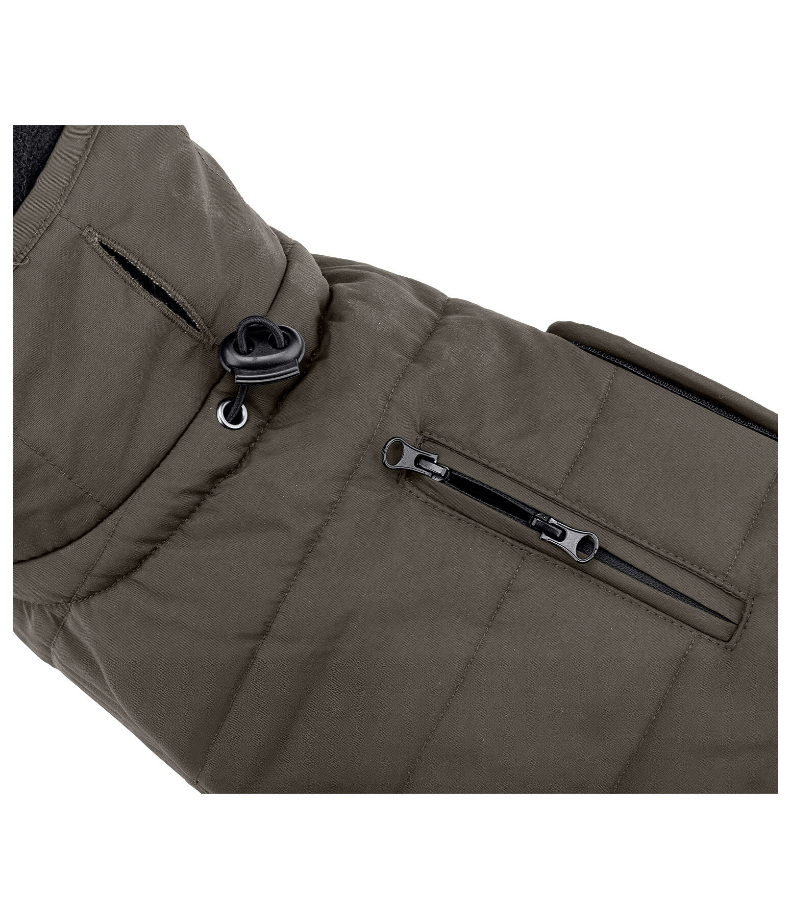 Manteau d'hiver pour teckel  Henry 200 g
