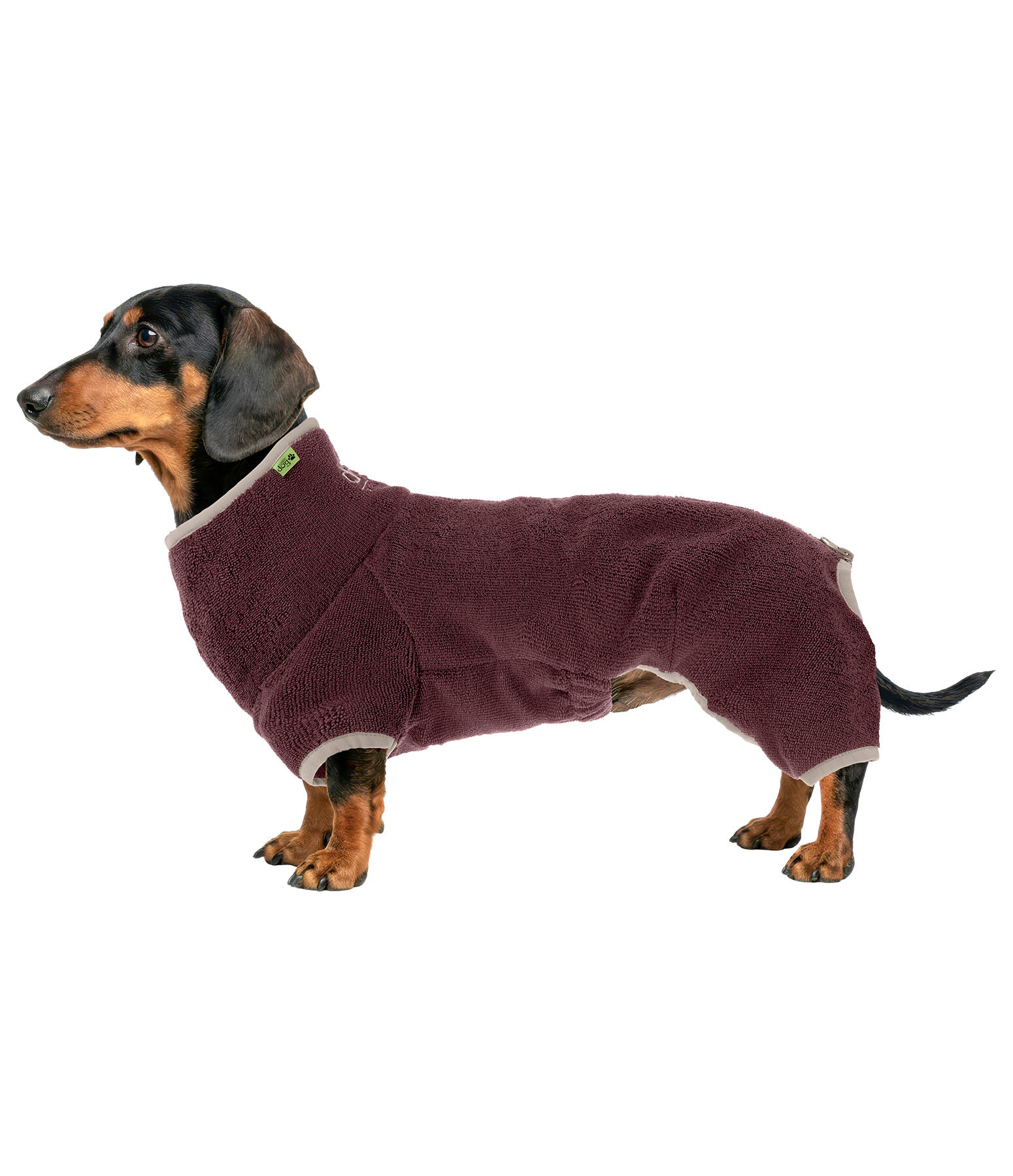 Peignoir pour teckel  Theo