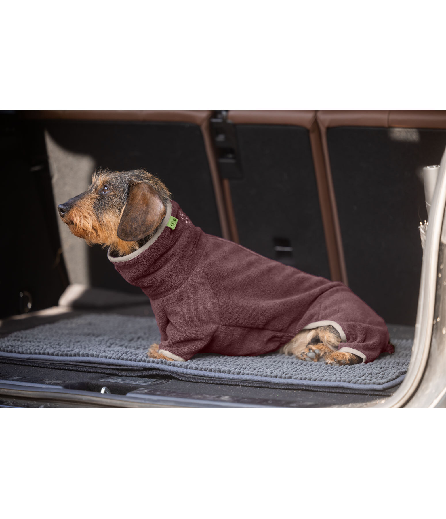 Peignoir pour teckel  Theo