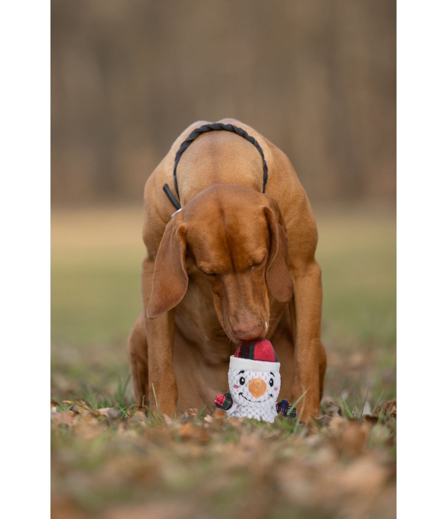 Jouet pour chien  Bonhomme de neige
