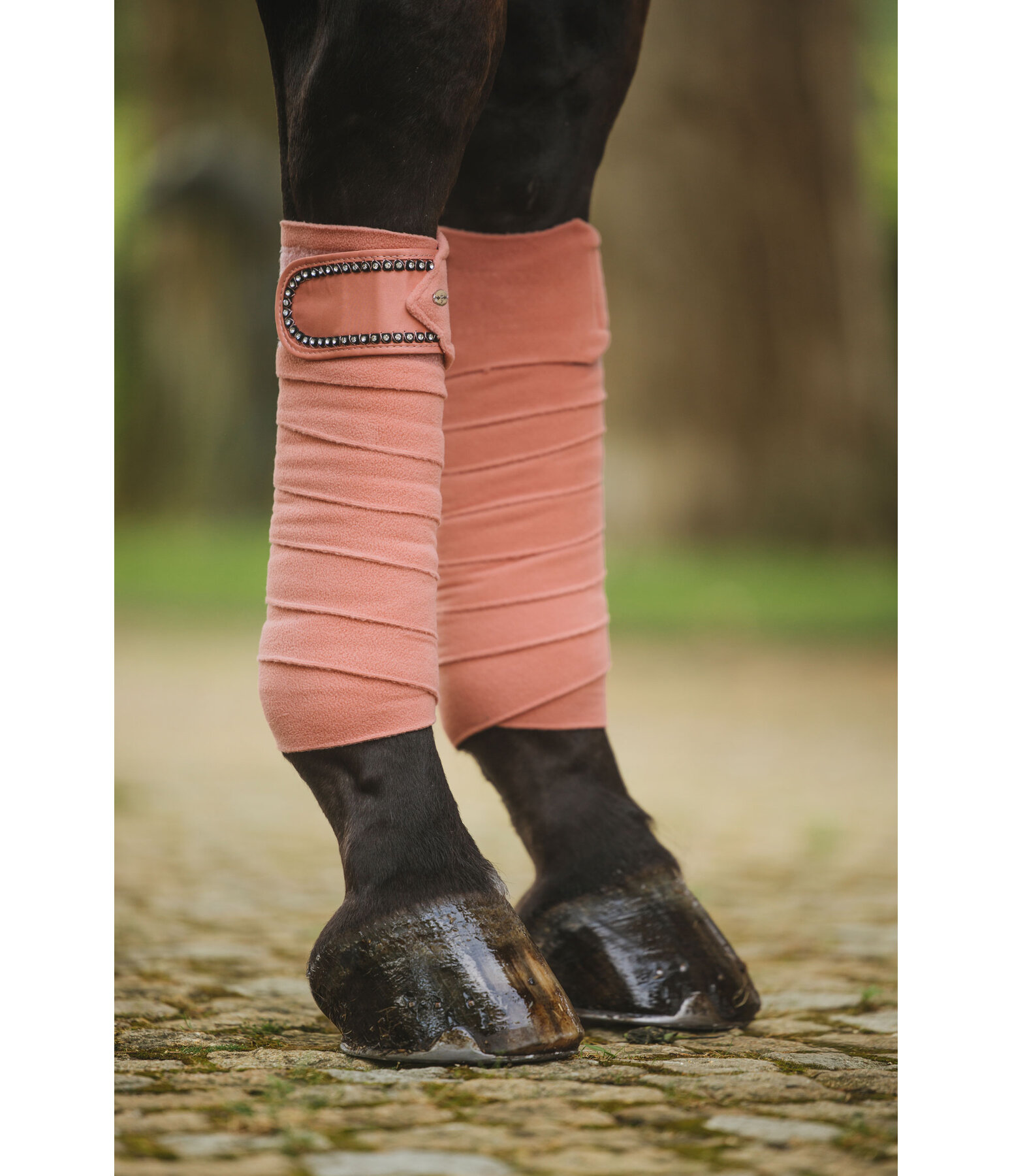 Bandes polaires  Brilliant