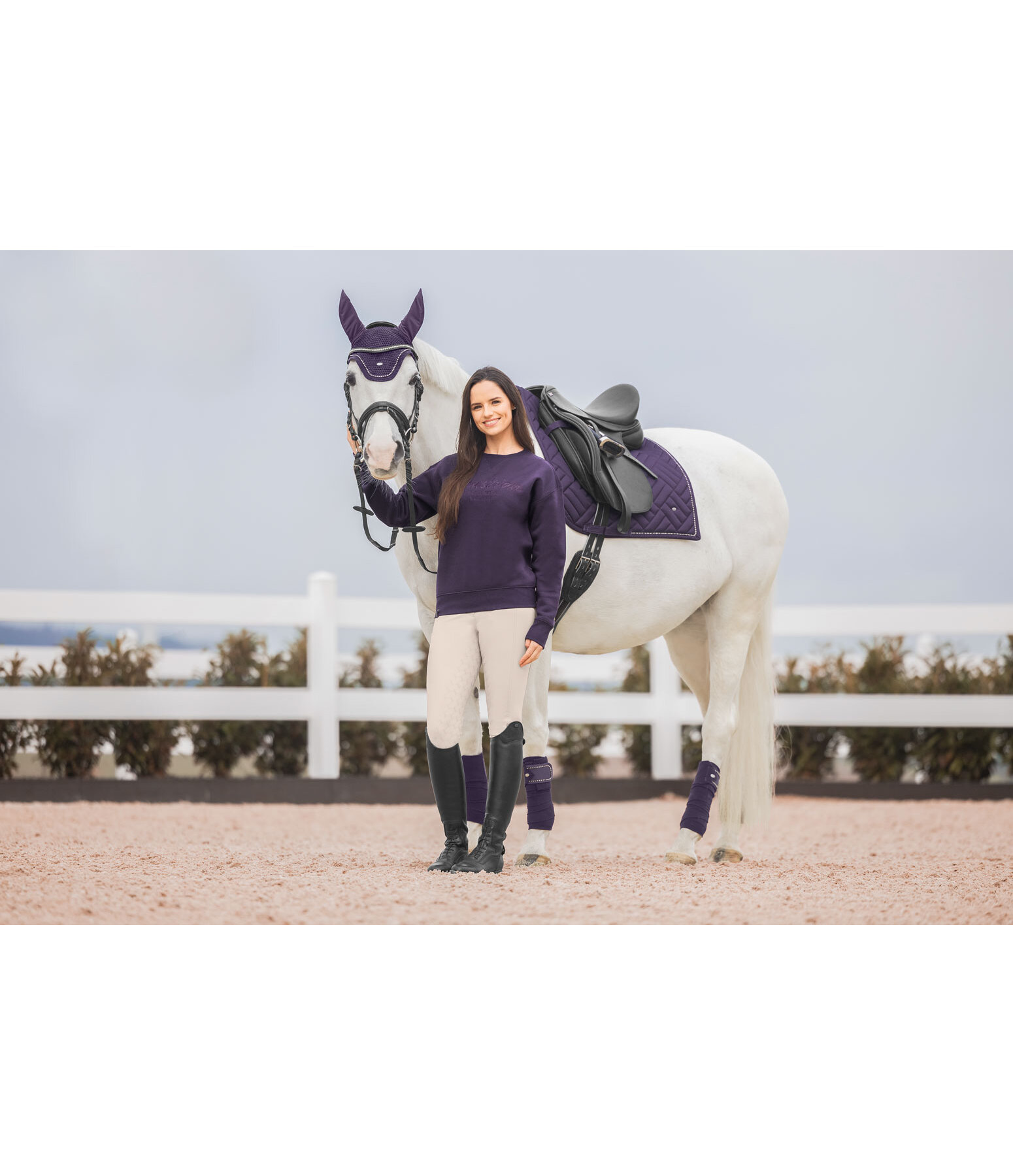 Bandes polaires  Brilliant