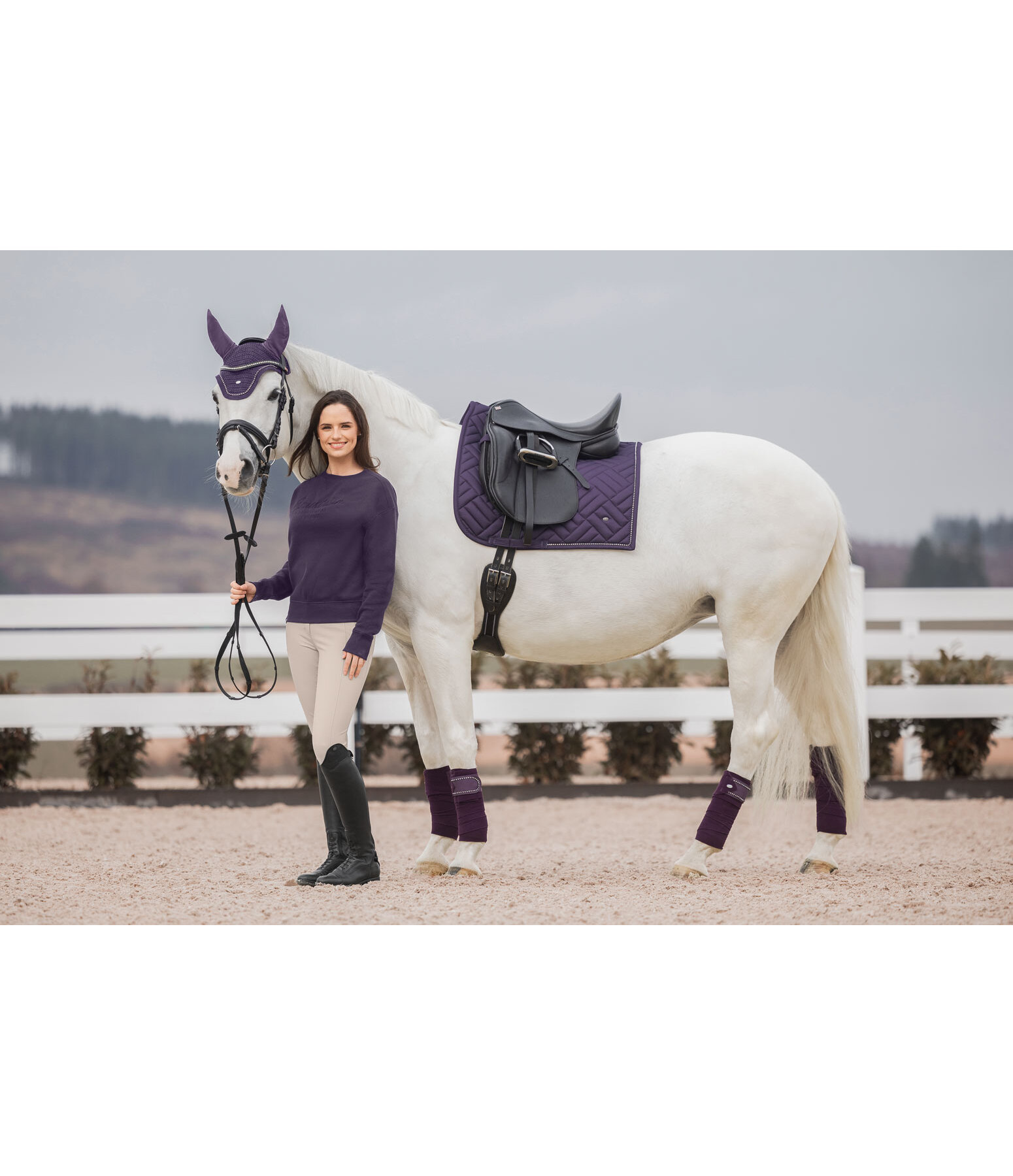 Bandes polaires  Brilliant