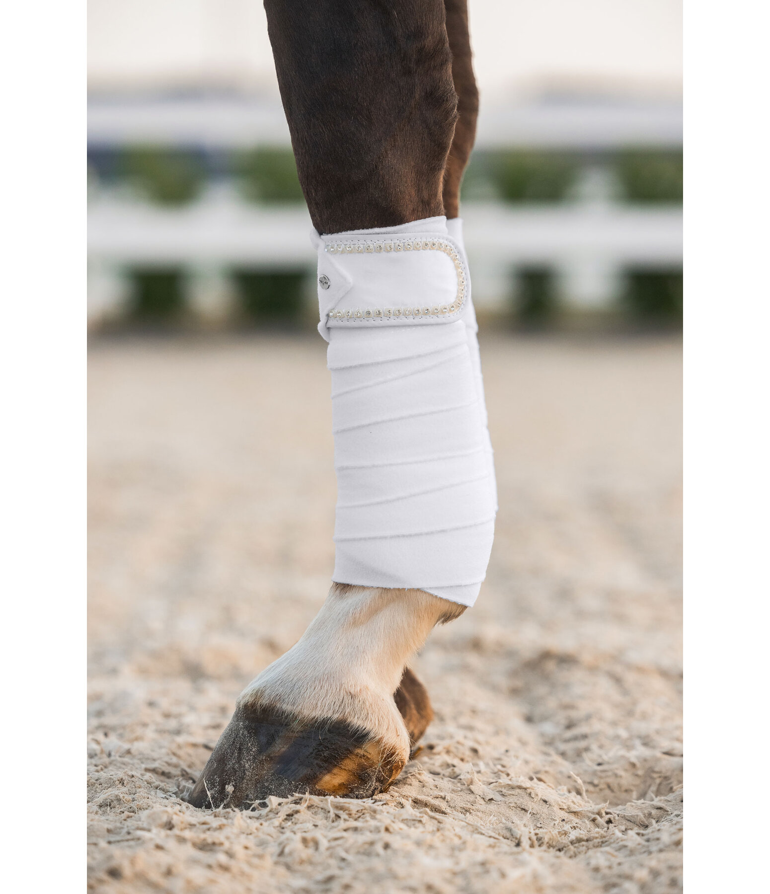 Bandes polaires  Brilliant