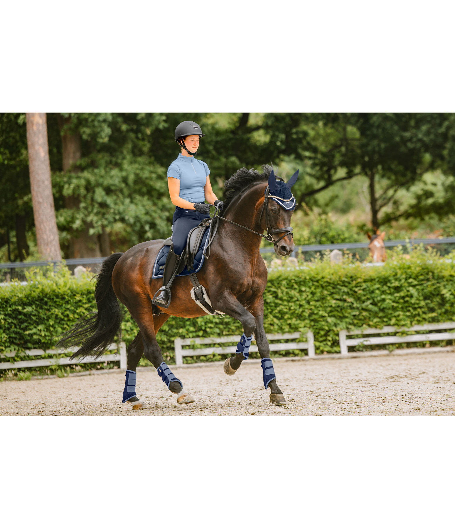 Gu�tres  Swiss Design (Post�rieurs)