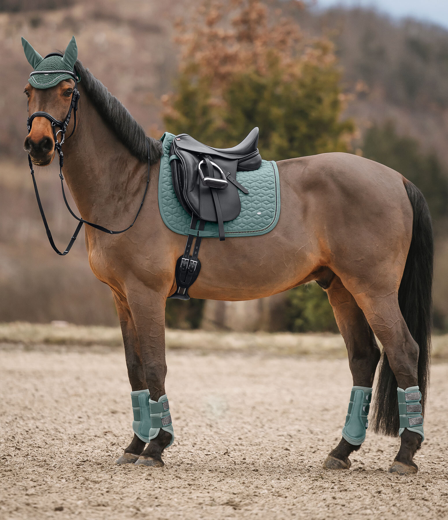 Gutres en mesh  Glitter, antrieurs