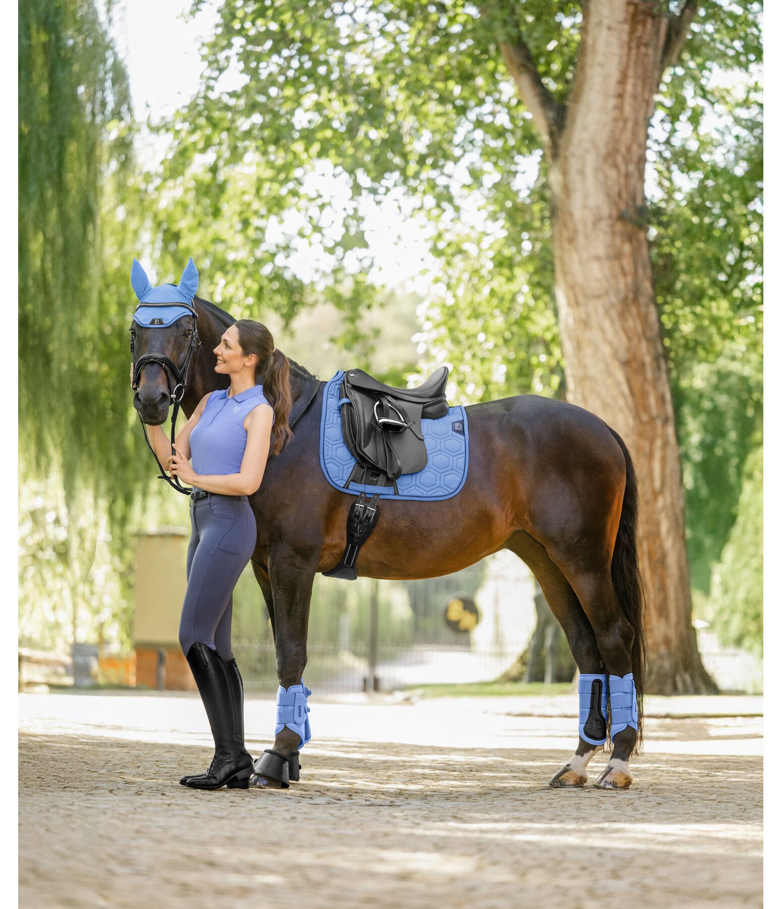 Gu�tres techniques  Mesh-Technology (ant�rieurs)