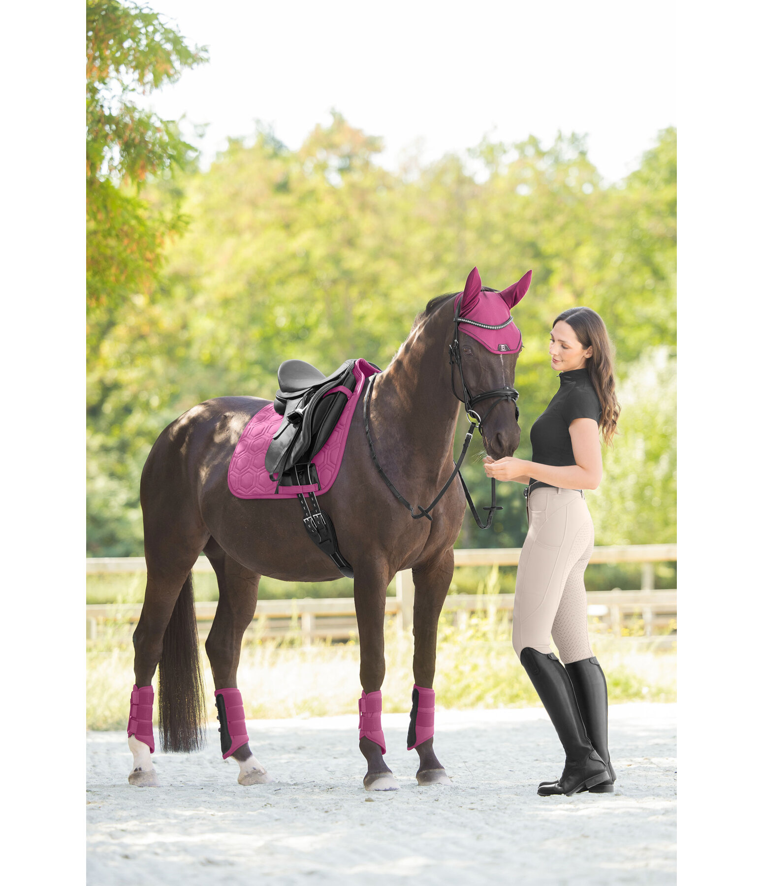 Gu�tres techniques  Mesh-Technology (ant�rieurs)