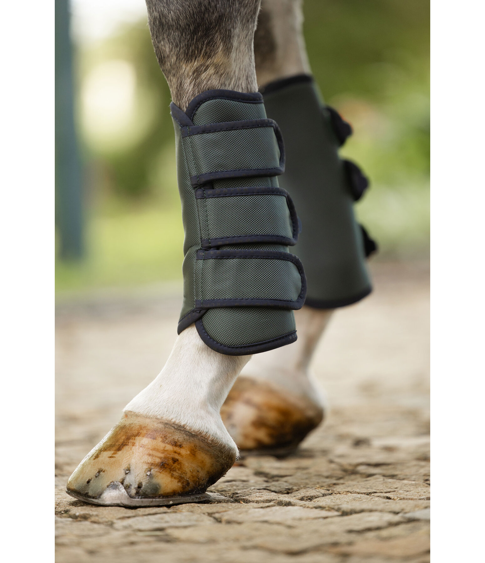Gu�tres de dressage  Twotone (ant�rieurs)