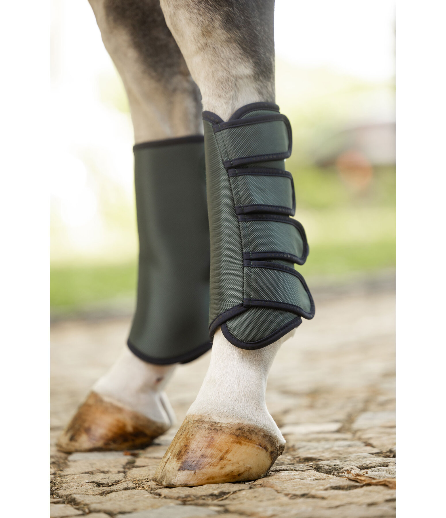 Gu�tres de dressage  Twotone (post�rieurs)