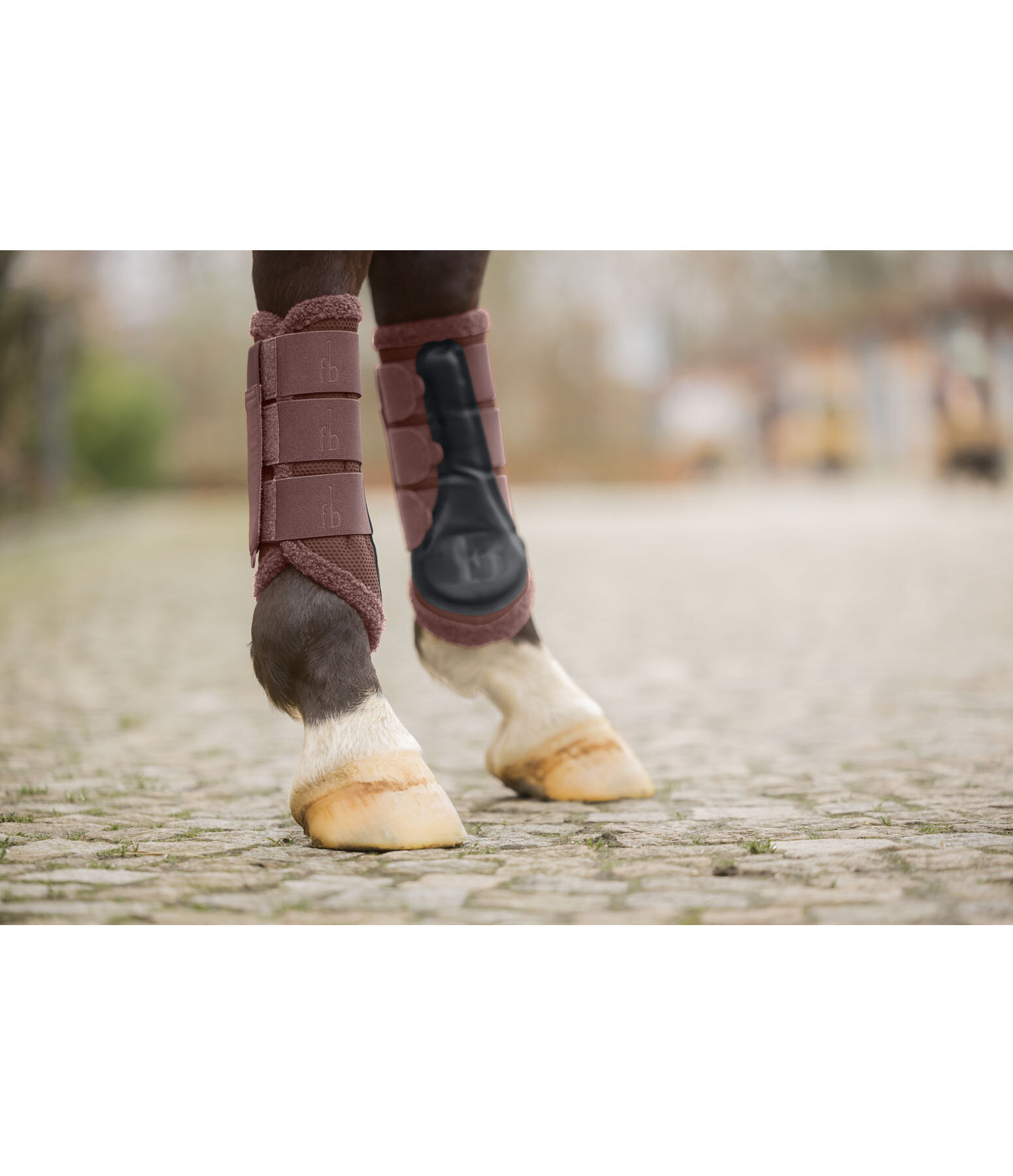 Gu�tres  Teddy, post�rieurs